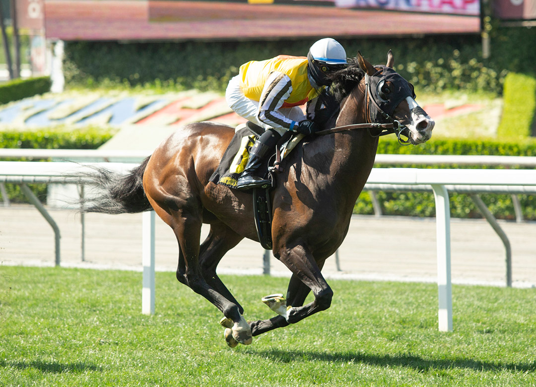 Border Town wins a May 24 allowance at Santa Anita