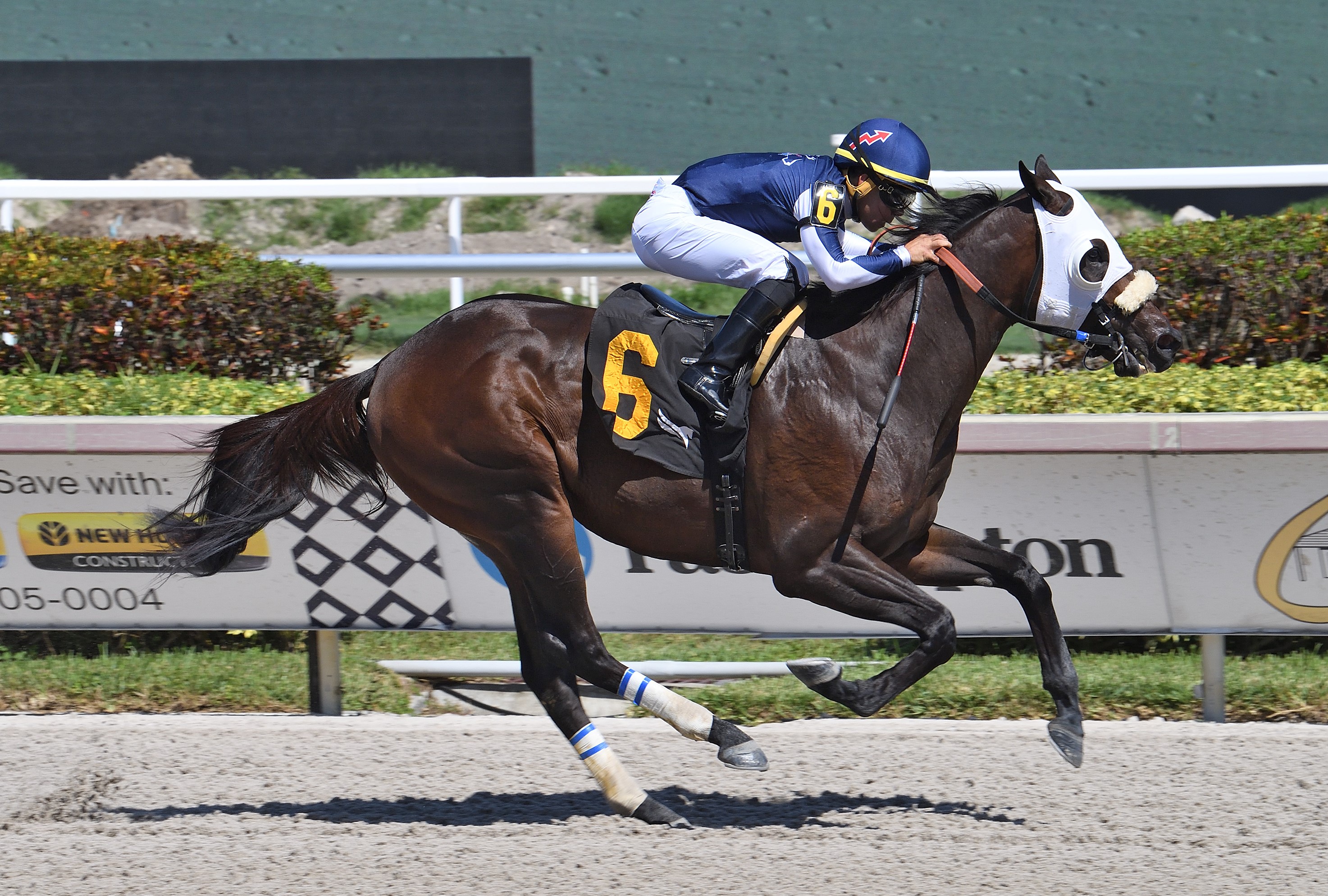 Boris wins Gulfstream maiden race Sept 23 2022