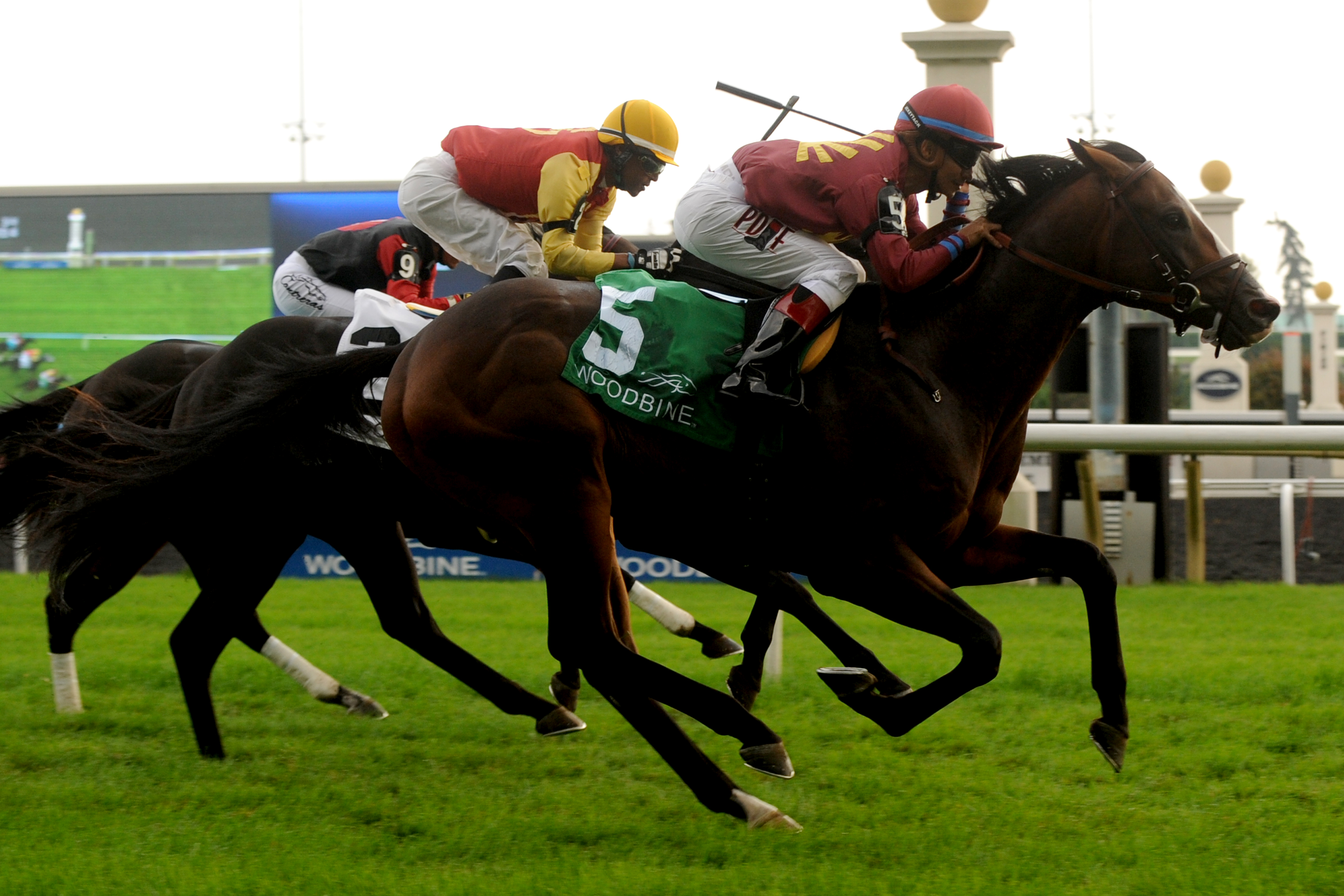 Born in a Breeze wins 2015 Vice Regent