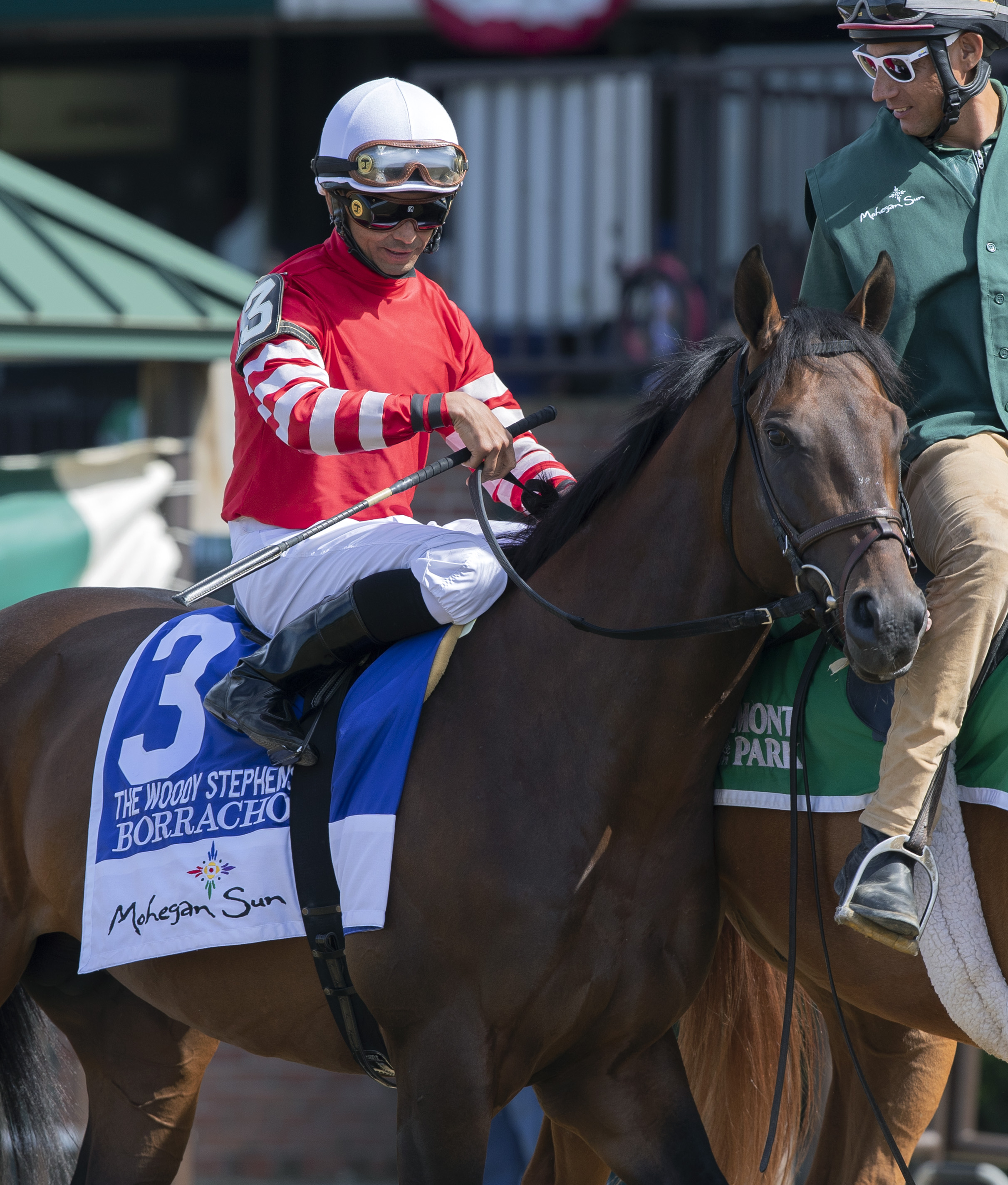 Borracho prior to the 2019 Woody Stephens Stakes