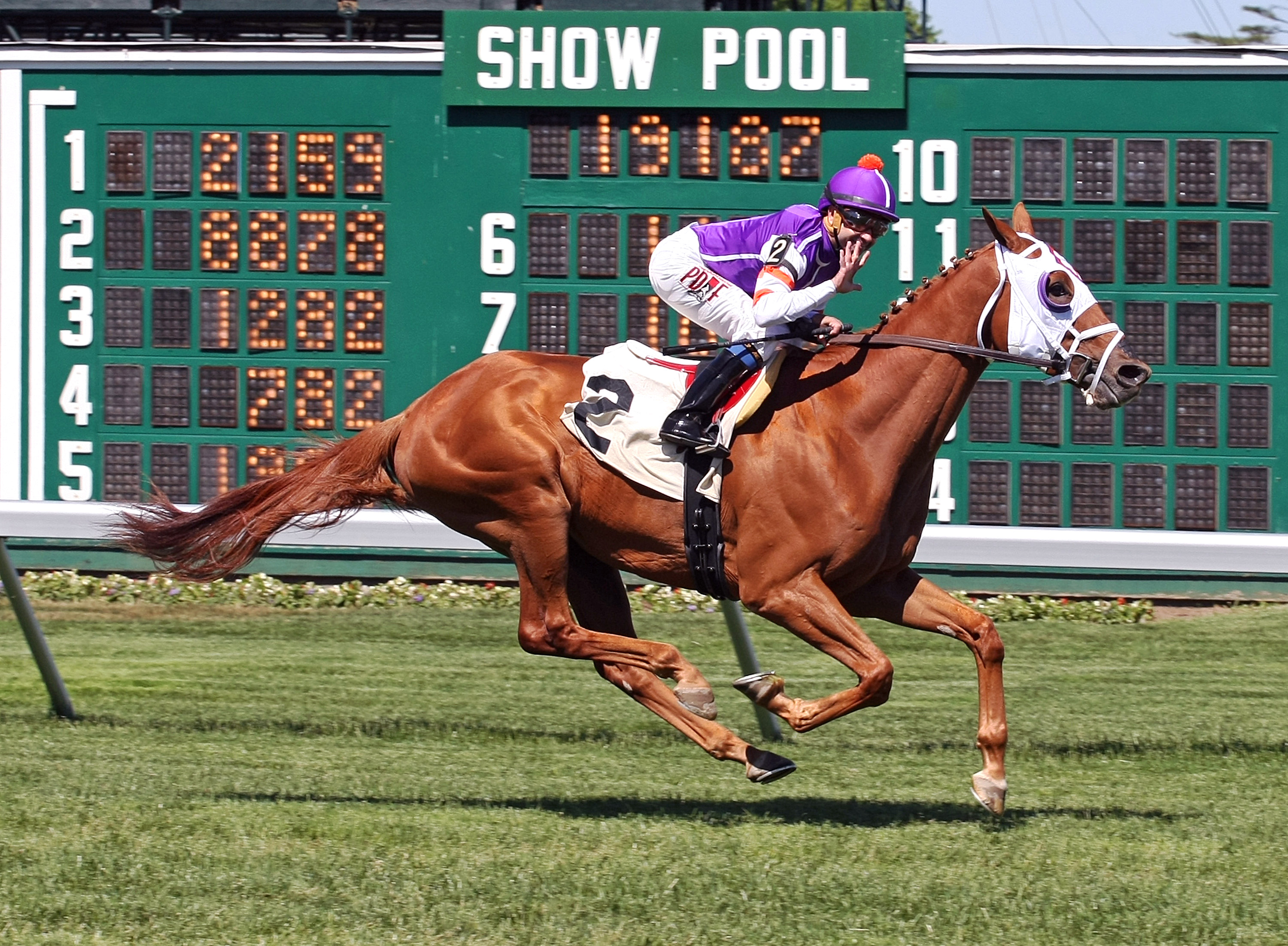 Joe Bravo earns his 5,000 win aboard Boss Man