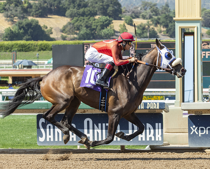 Iggy Puglisi wins a May 12 maiden claimer aboard Bouncing Around