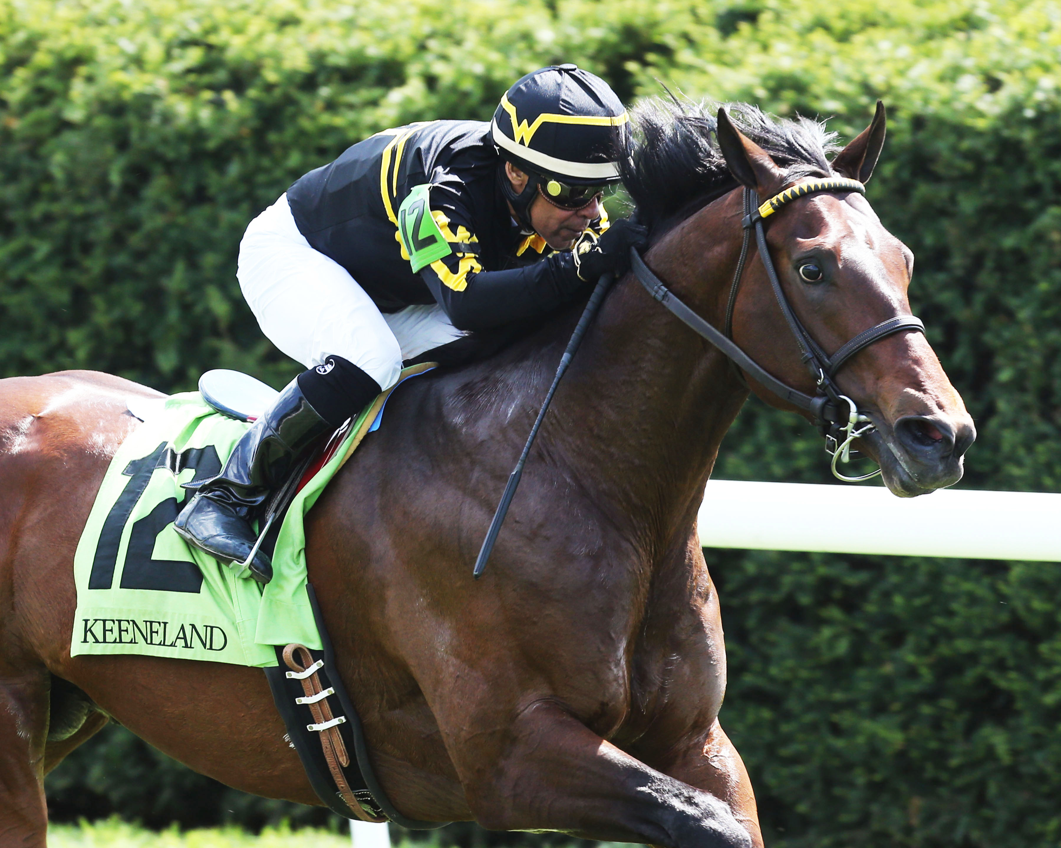 Bound for Nowhere wins an April 20 allowance at Keeneland