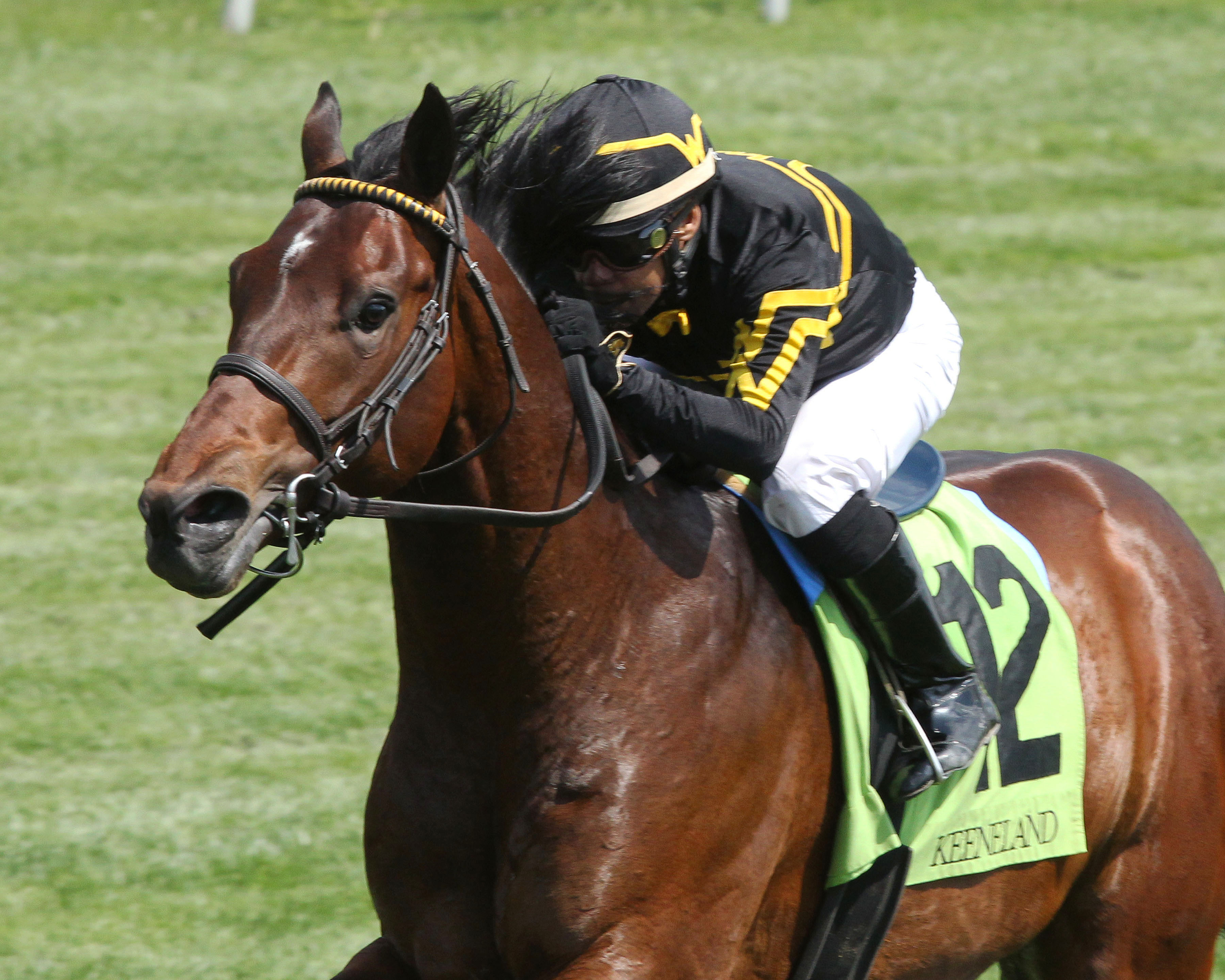 Bound for Nowhere wins an April 20 allowance at Keeneland