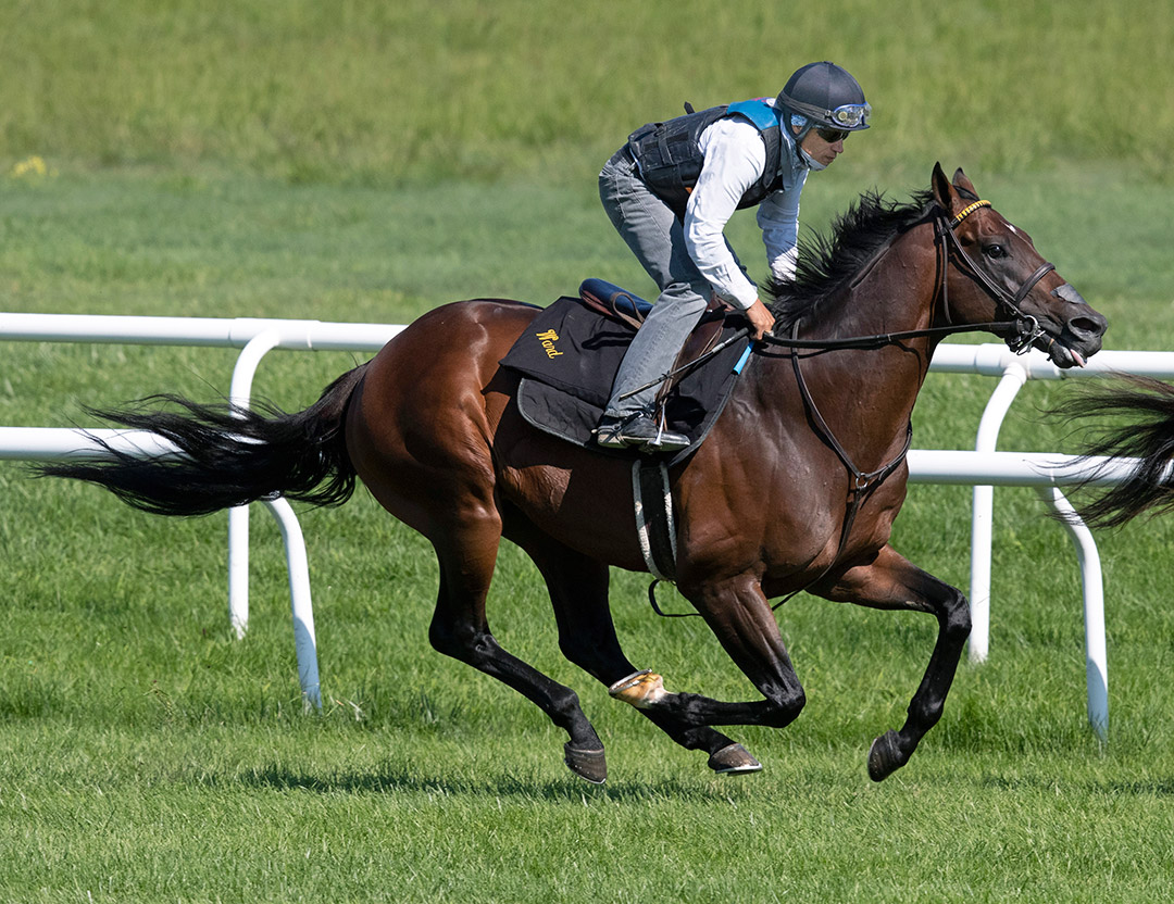 Bound for Nowhere trains at Saratoga Race Course in July 2021