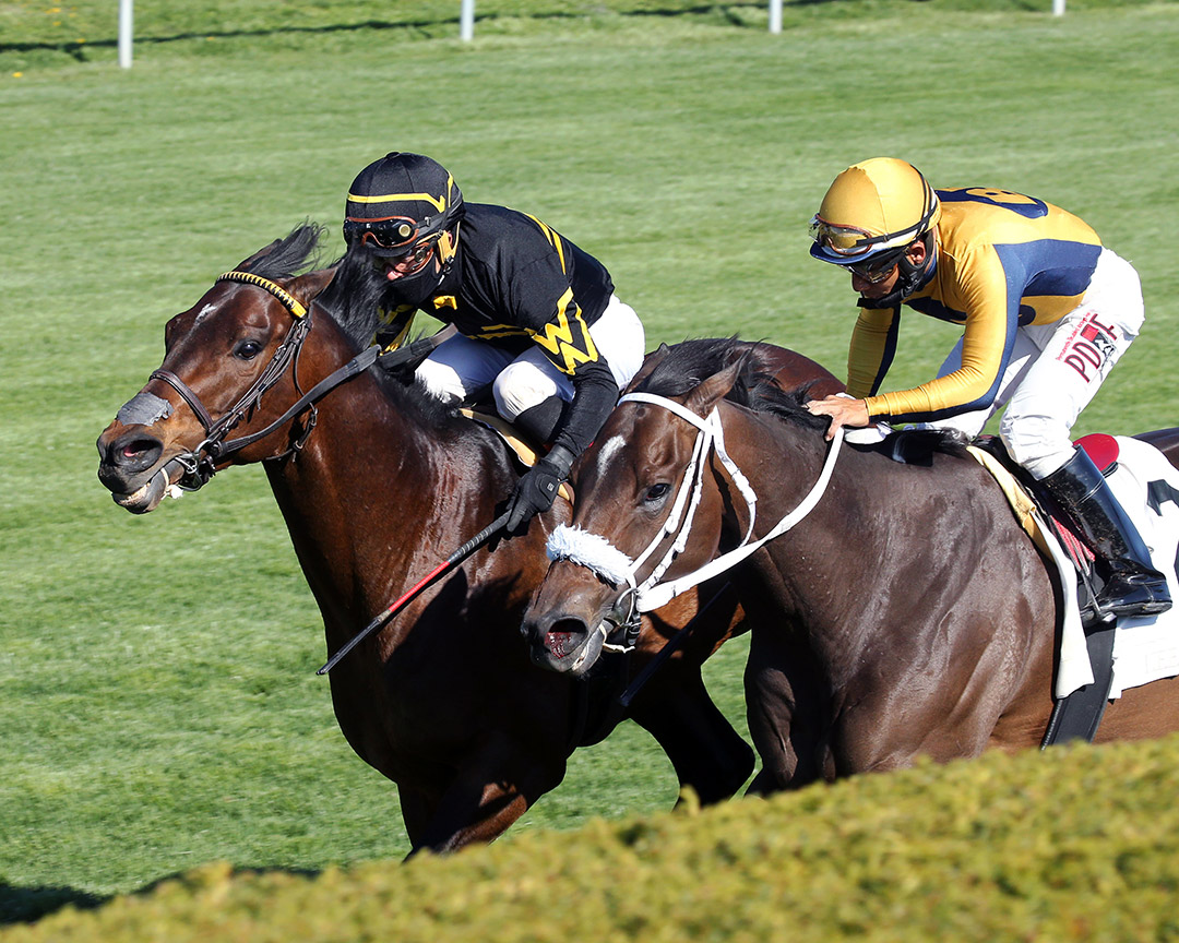 Imprimis (right) finishes second in the 2021 Shakertown Stakes at Keeneland