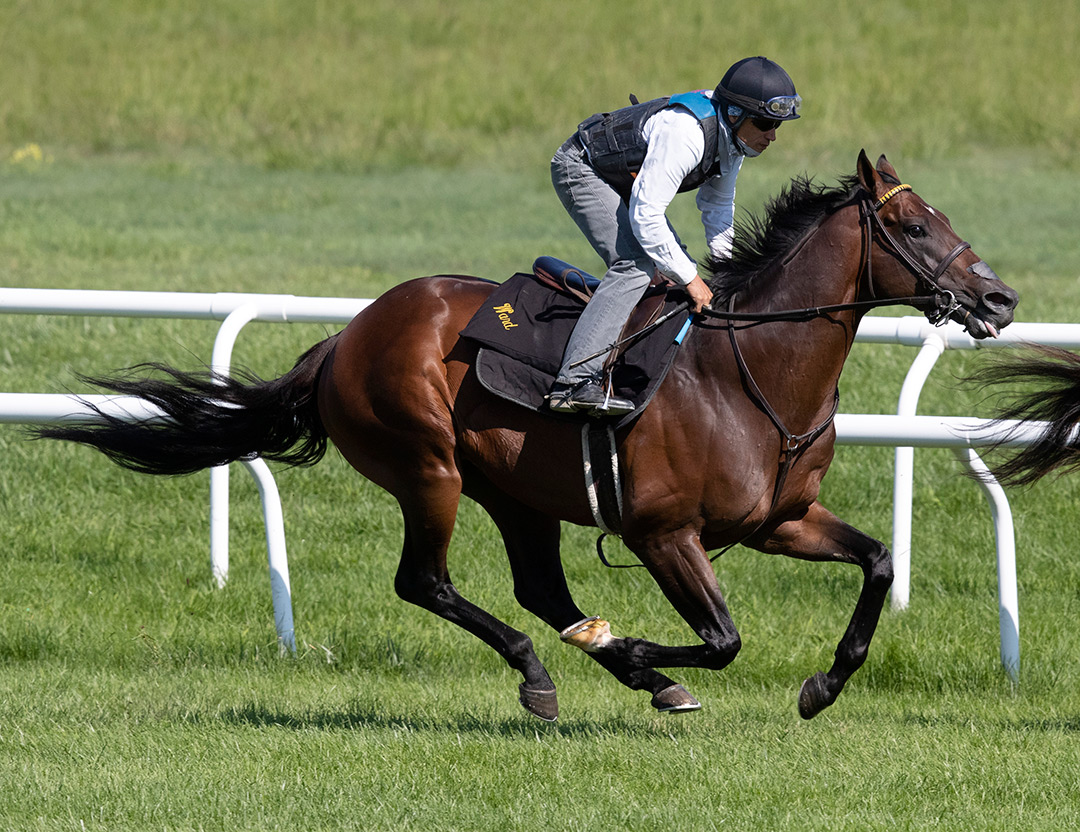 Bound for Nowhere trains at Saratoga Race Course on July 31