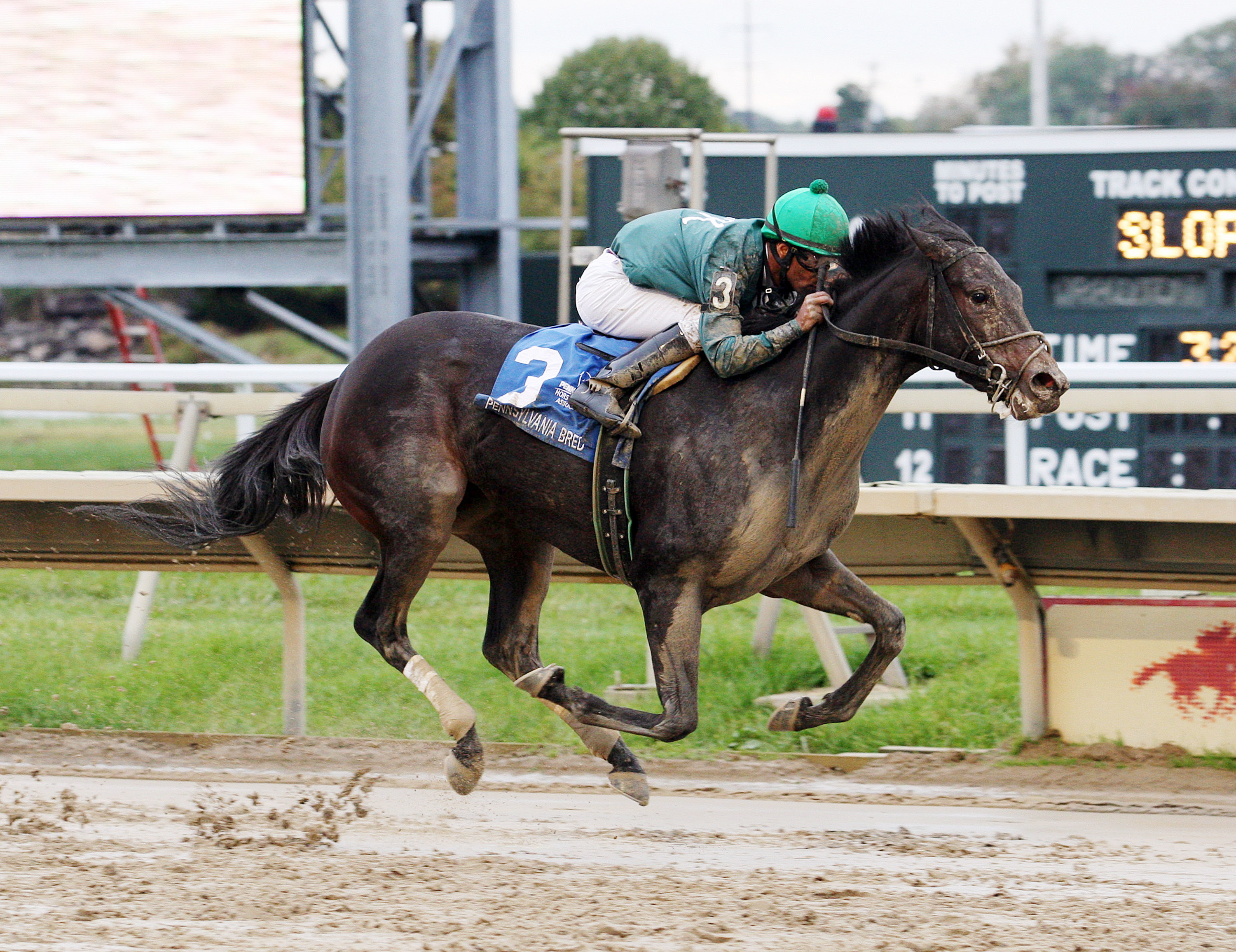 Bound wins the 2014 Plum Pretty Stakes