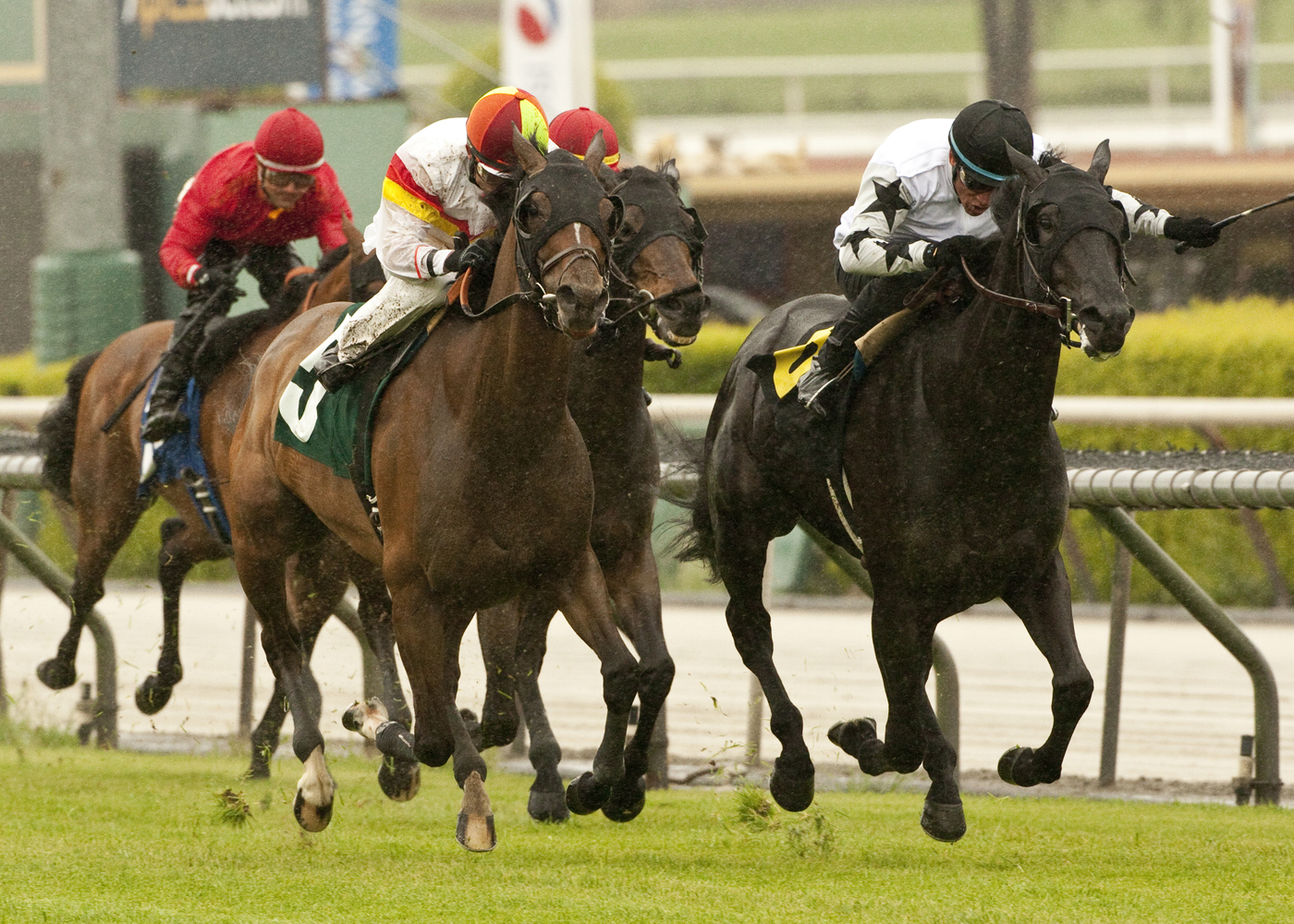 Bourbon Bay/San Luis Rey