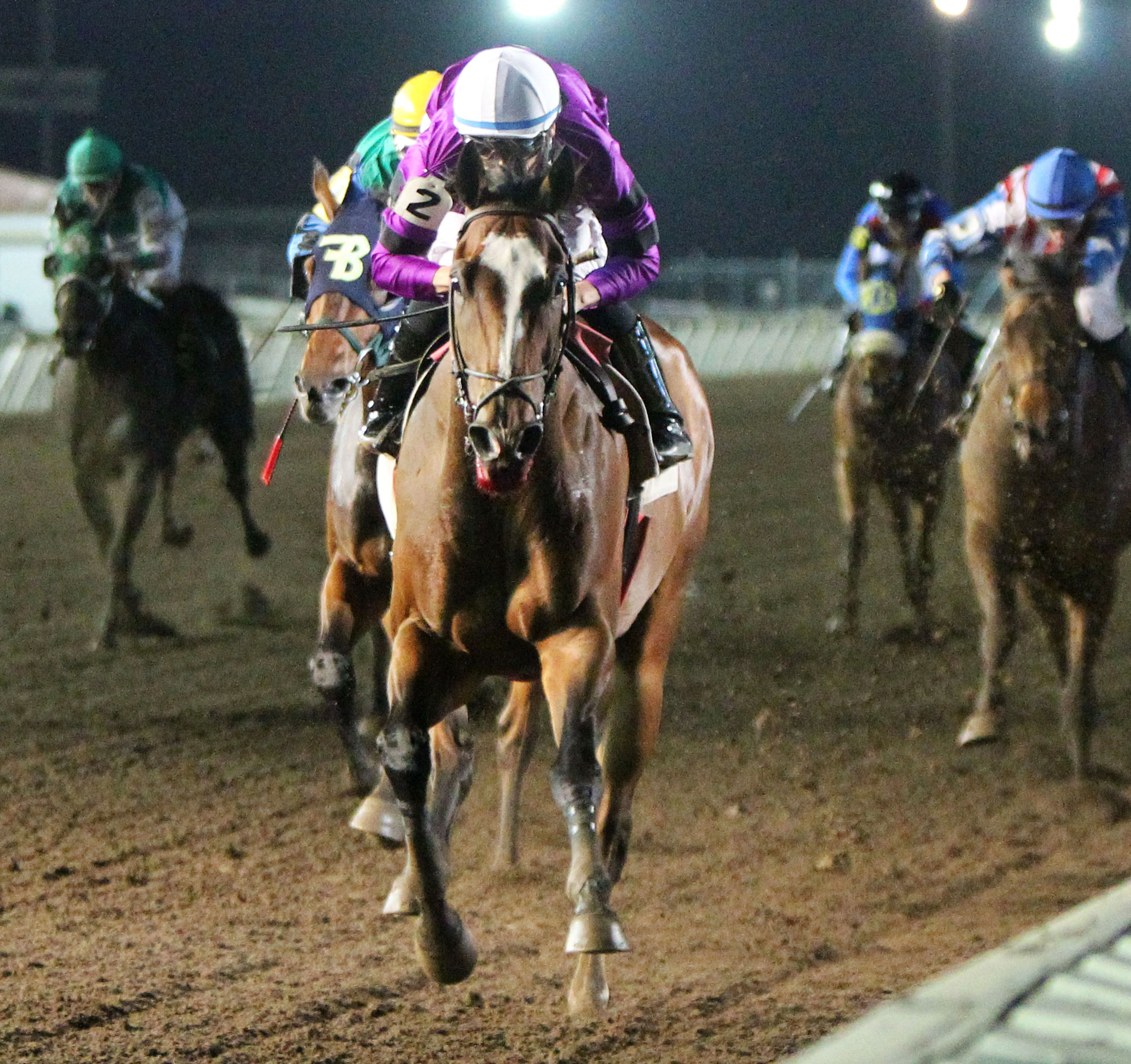 Bourbon County wins the 10,000 Lakes Stakes