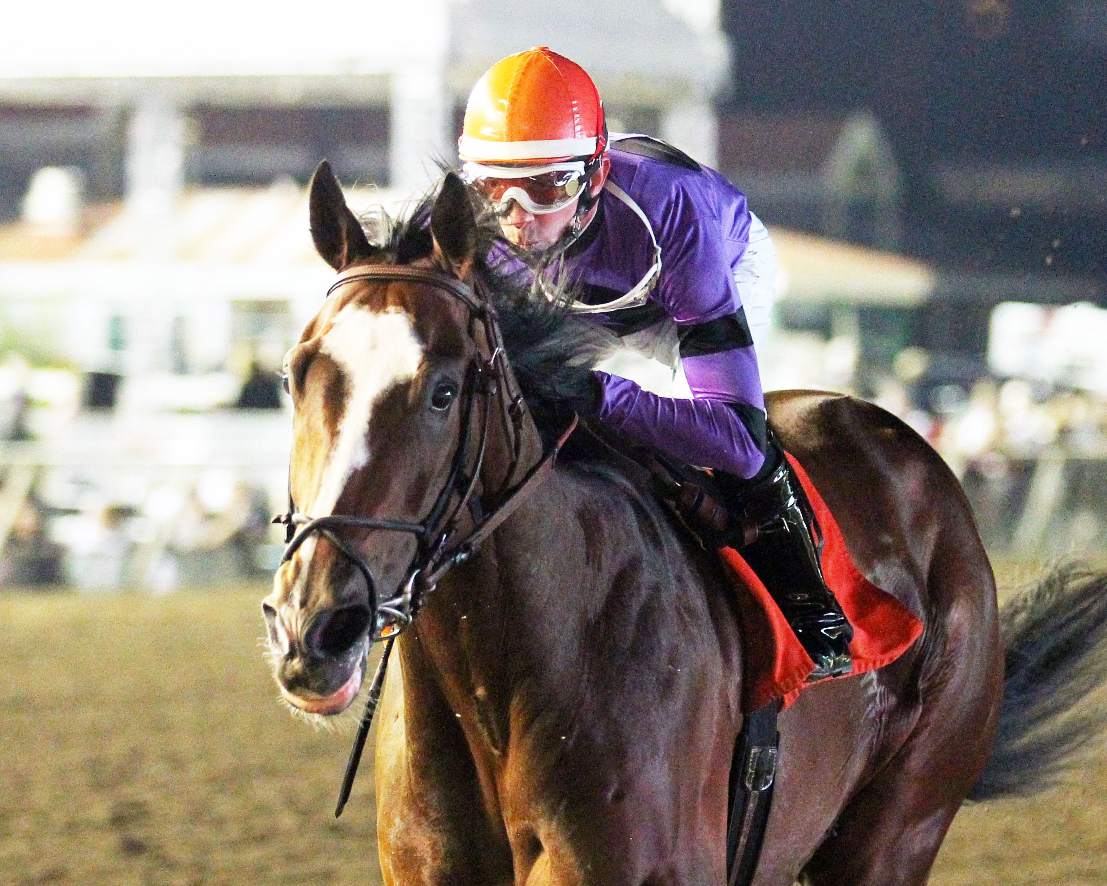 Bourbon County wins the 10,000 Lakes Stakes