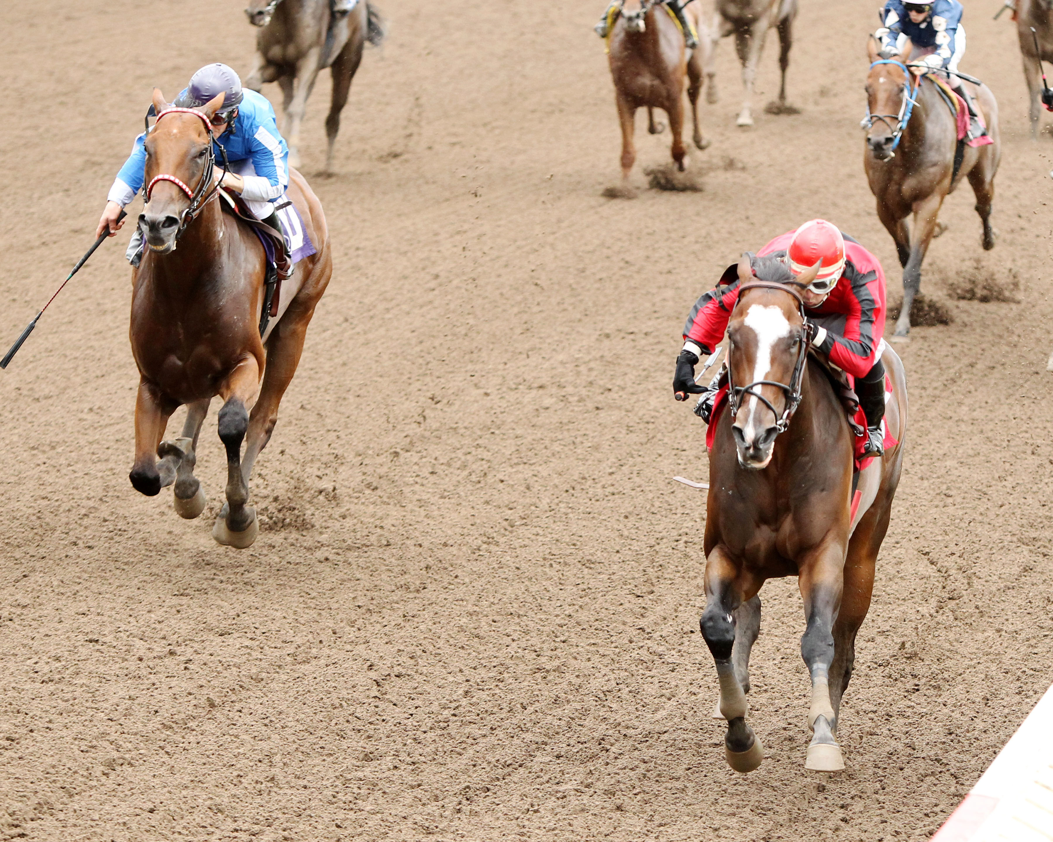 Bourbon County wins the Crocrock Minnesota Sprint Championship