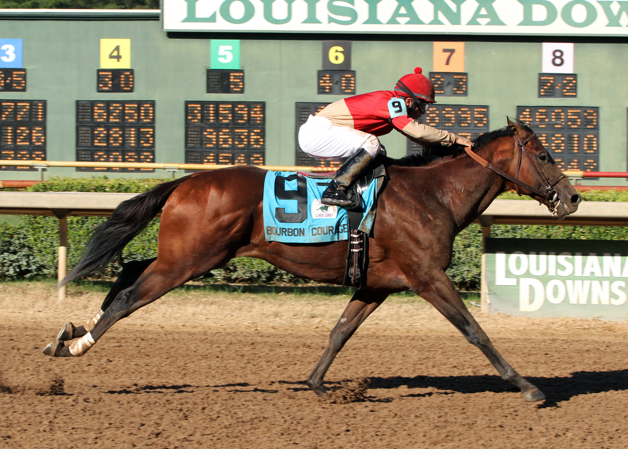 Bourbon Courage wins the 2012 Super Derby