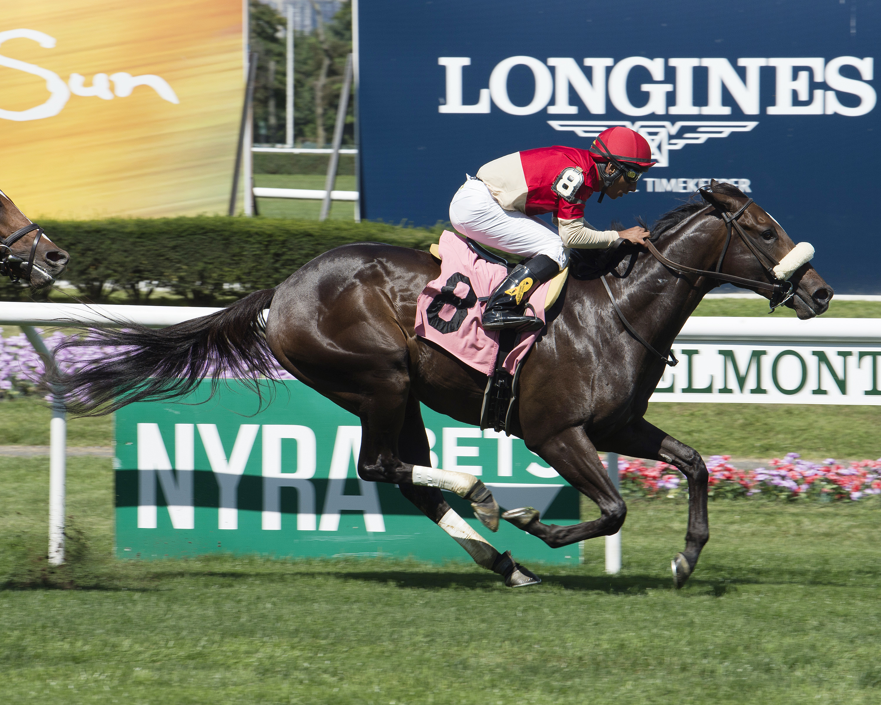 Bourbon Currency wins a Sept. 9 maiden race at Belmont