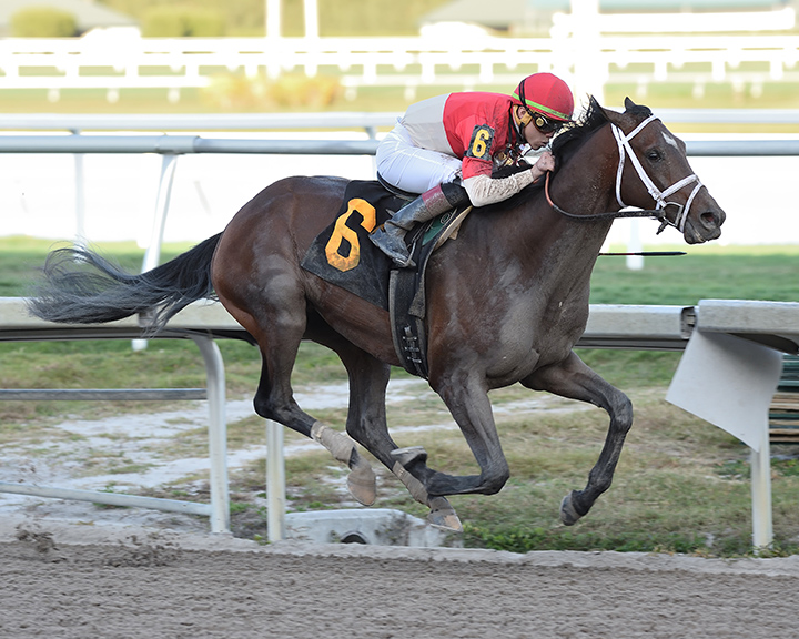 Bourbon War wins a Jan. 18 allowance