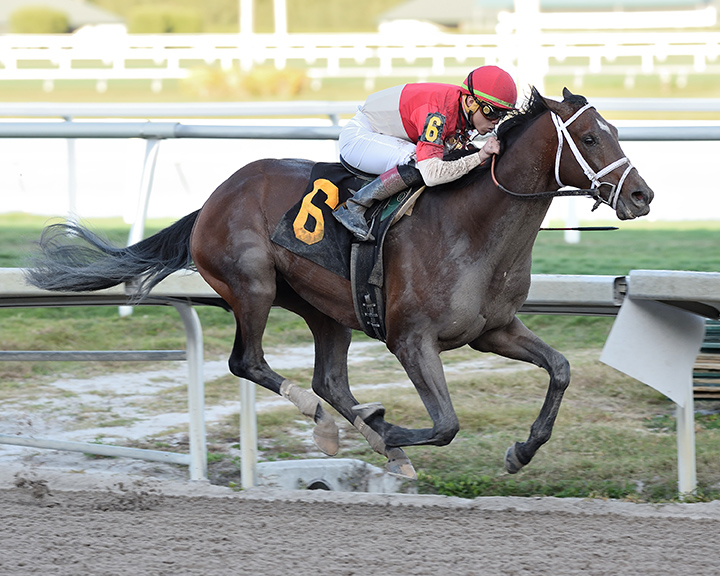 Bourbon War wins a Jan. 18 allowance