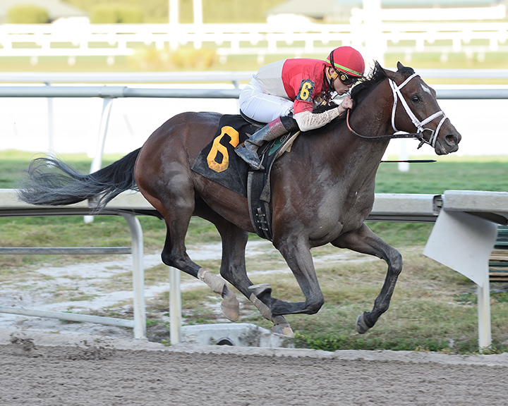 Bourbon War wins a Jan. 18 allowance at Gulfstream