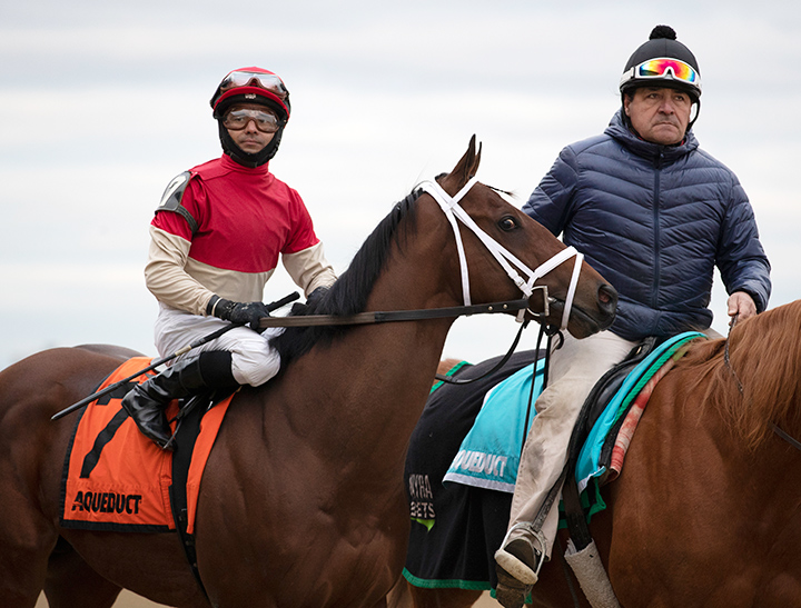 Bourbon Bay at the Jerome Stakes at Aqueduct Racetrack