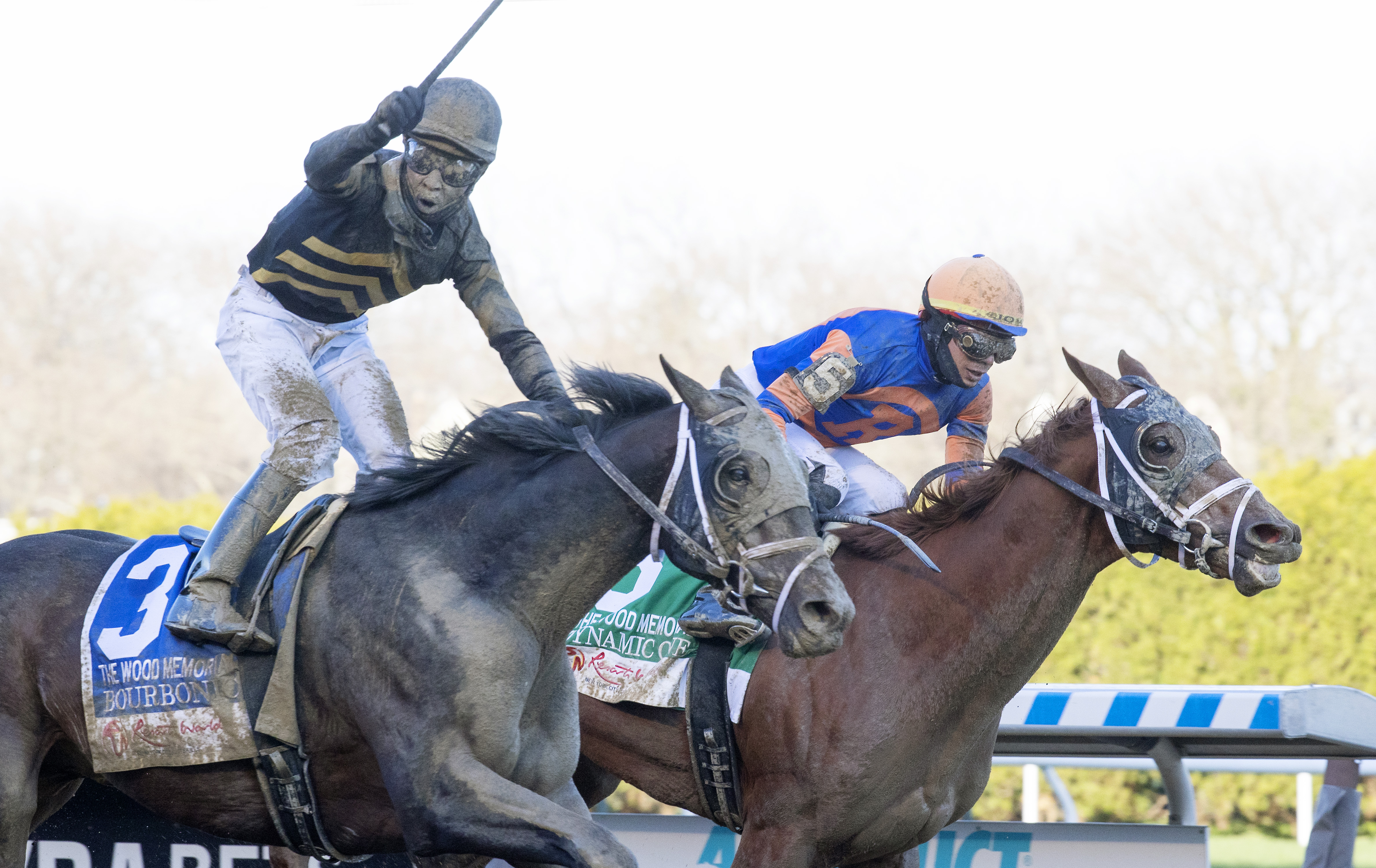Bourbonic (left) /Wood Memorial