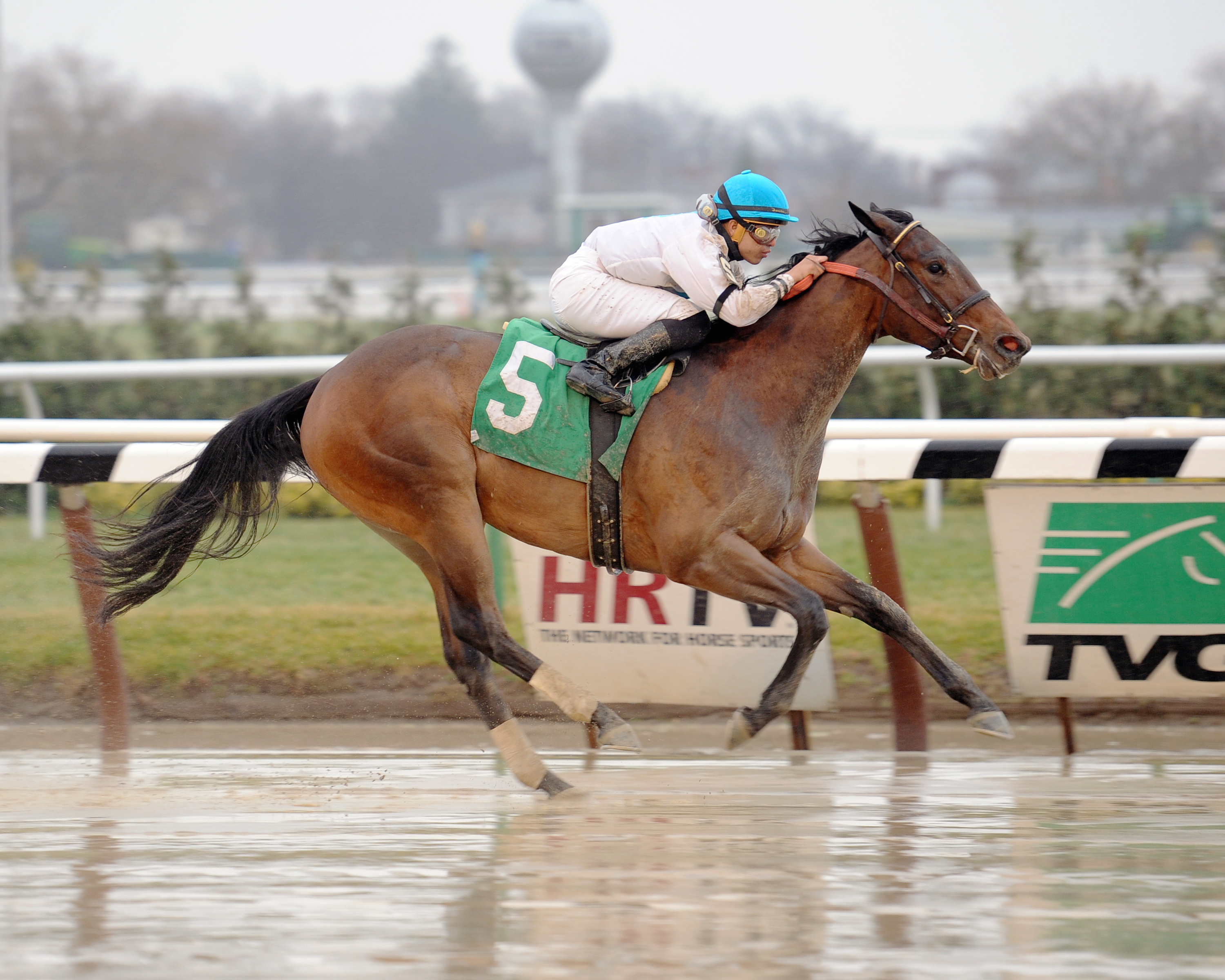 Bourbonstateofmind wins a maiden race