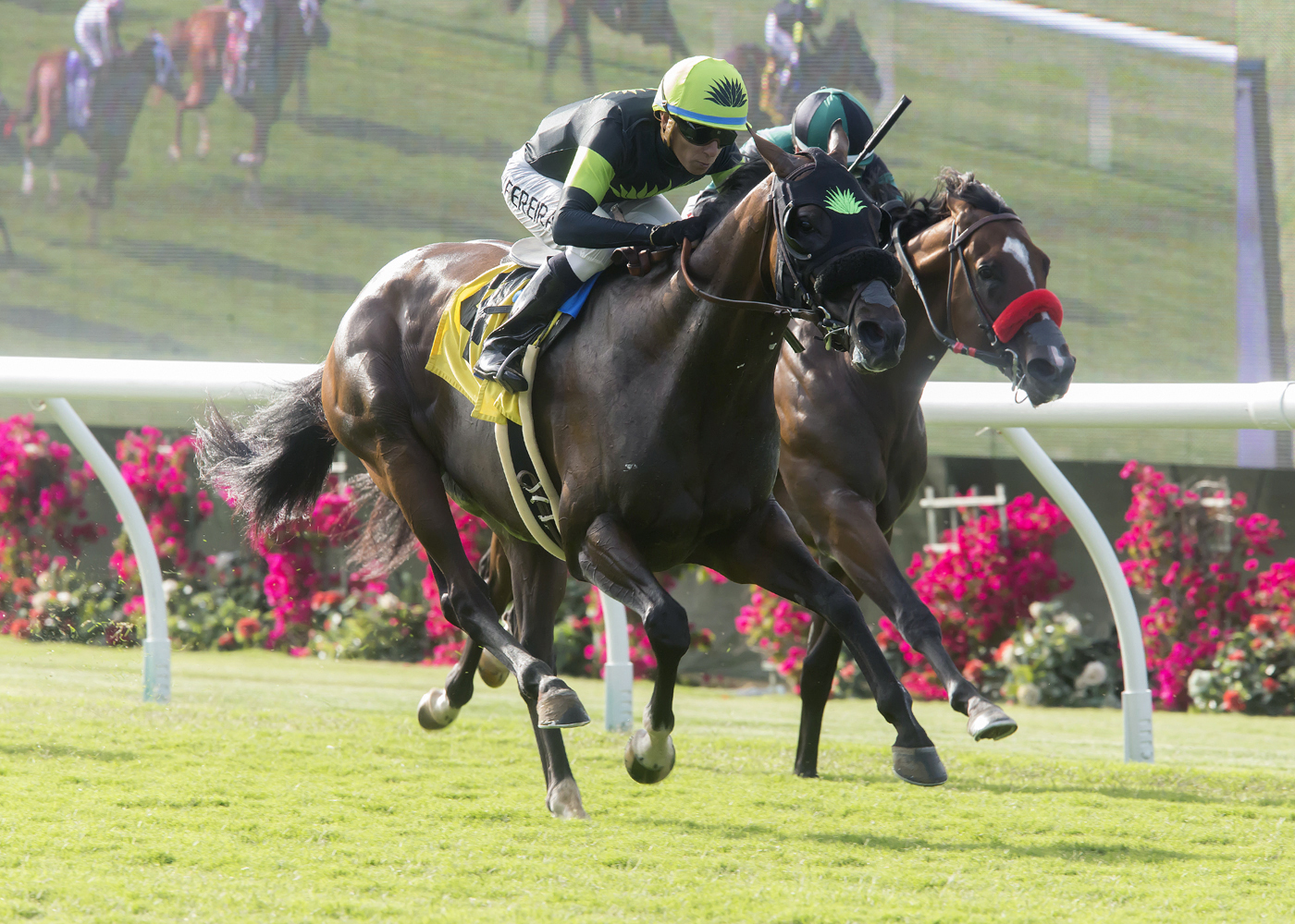 Bowies Hero wins the 2017 Oceanside Stakes