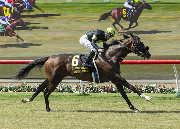 Bowies Hero wins the 2019 Eddie Read Stakes at Del Mar