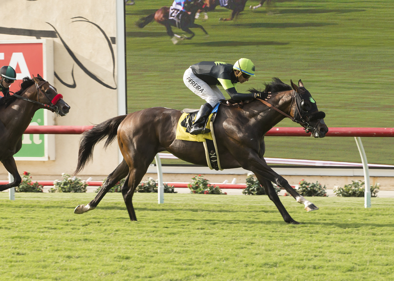 Bowies_Hero_Oceanside Stakes_7.19.17_Del Mar