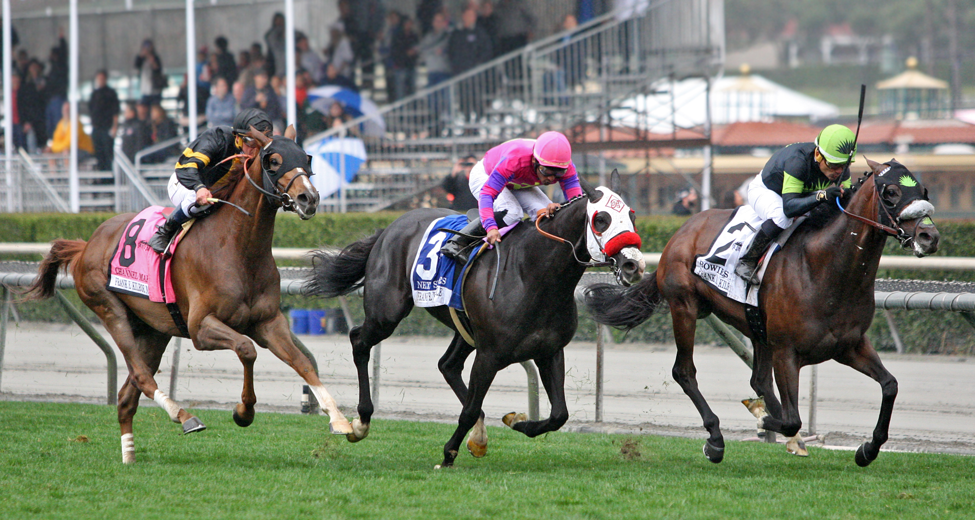 Bowies Hero wins 2018 Kilroe Mile