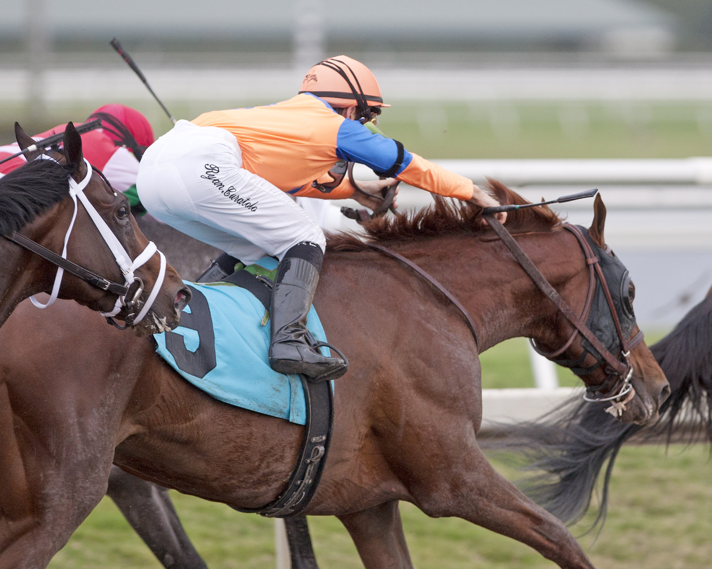 Bowman's Causeway/maiden win