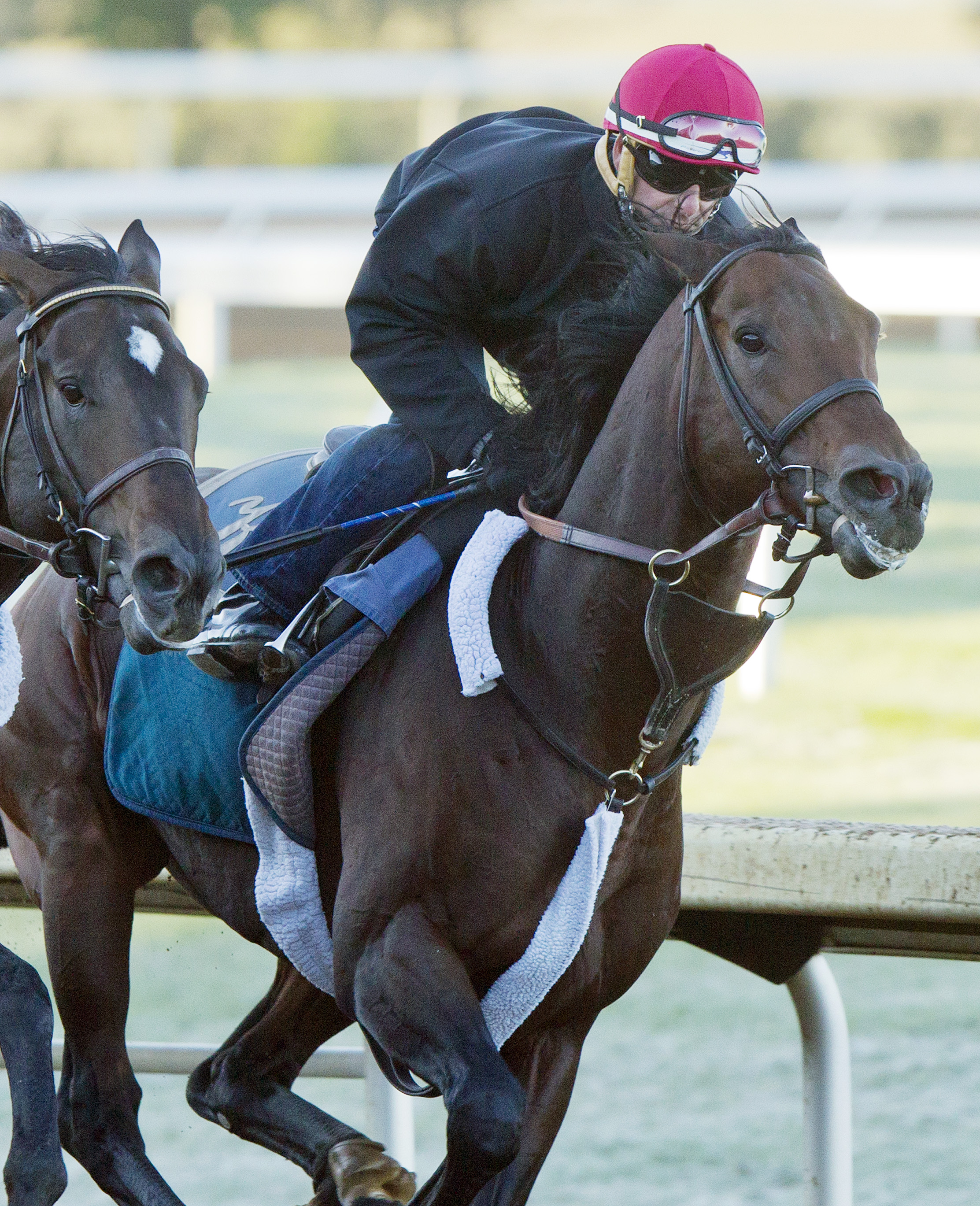 Bradester works 10-17 Keeneland