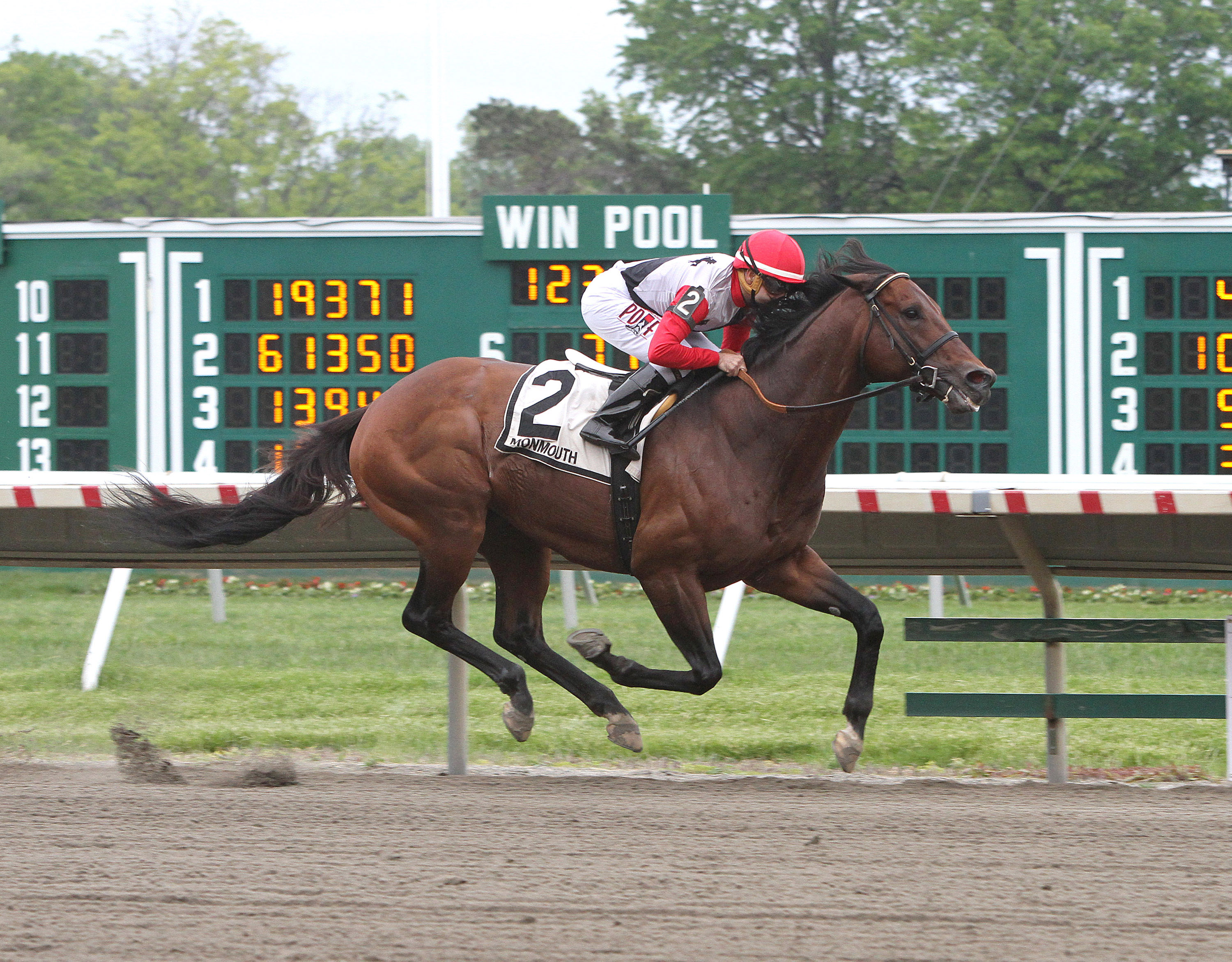 Bradester wins the Majestic Light Stakes
