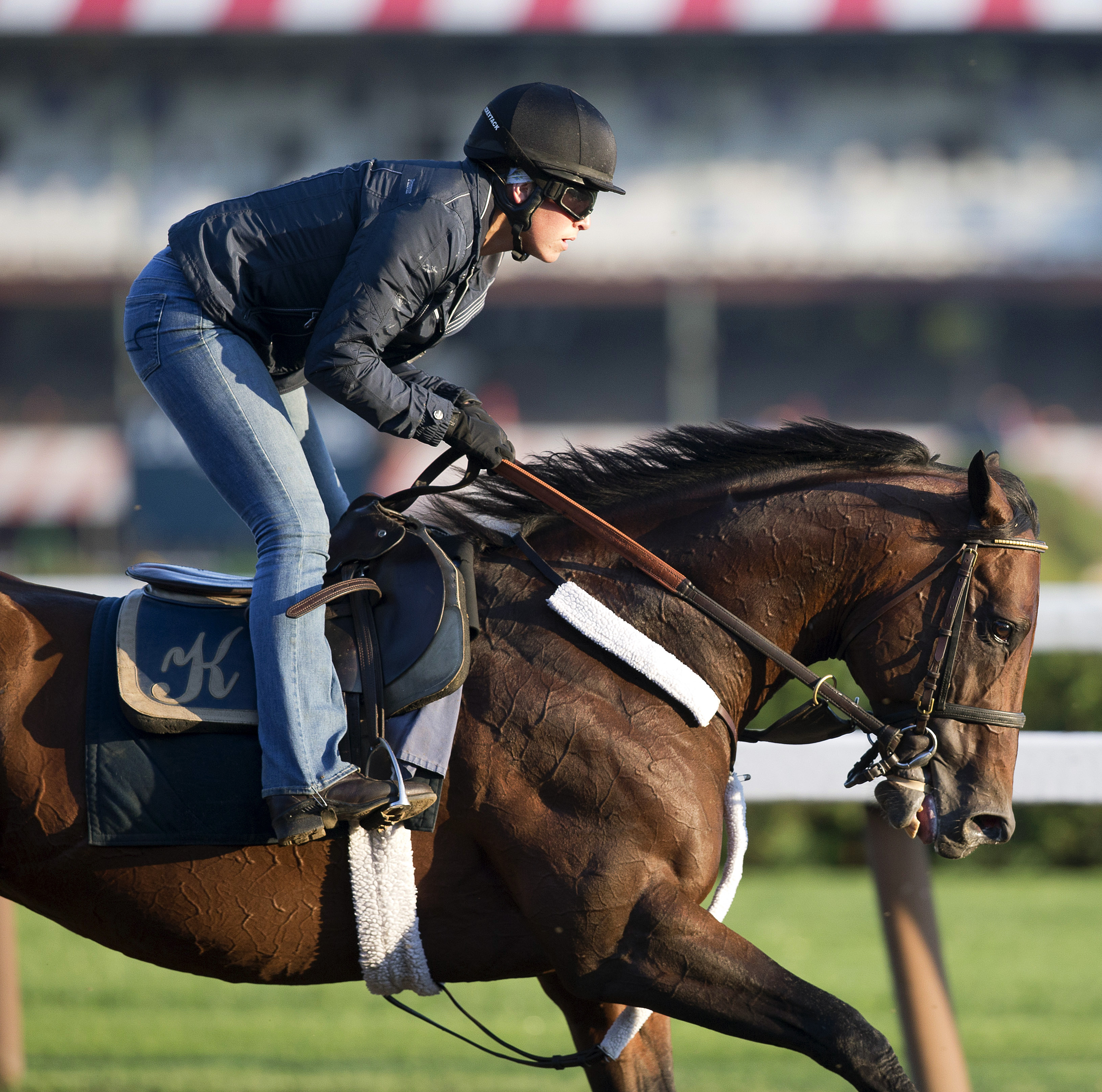Bradester training in July 2016