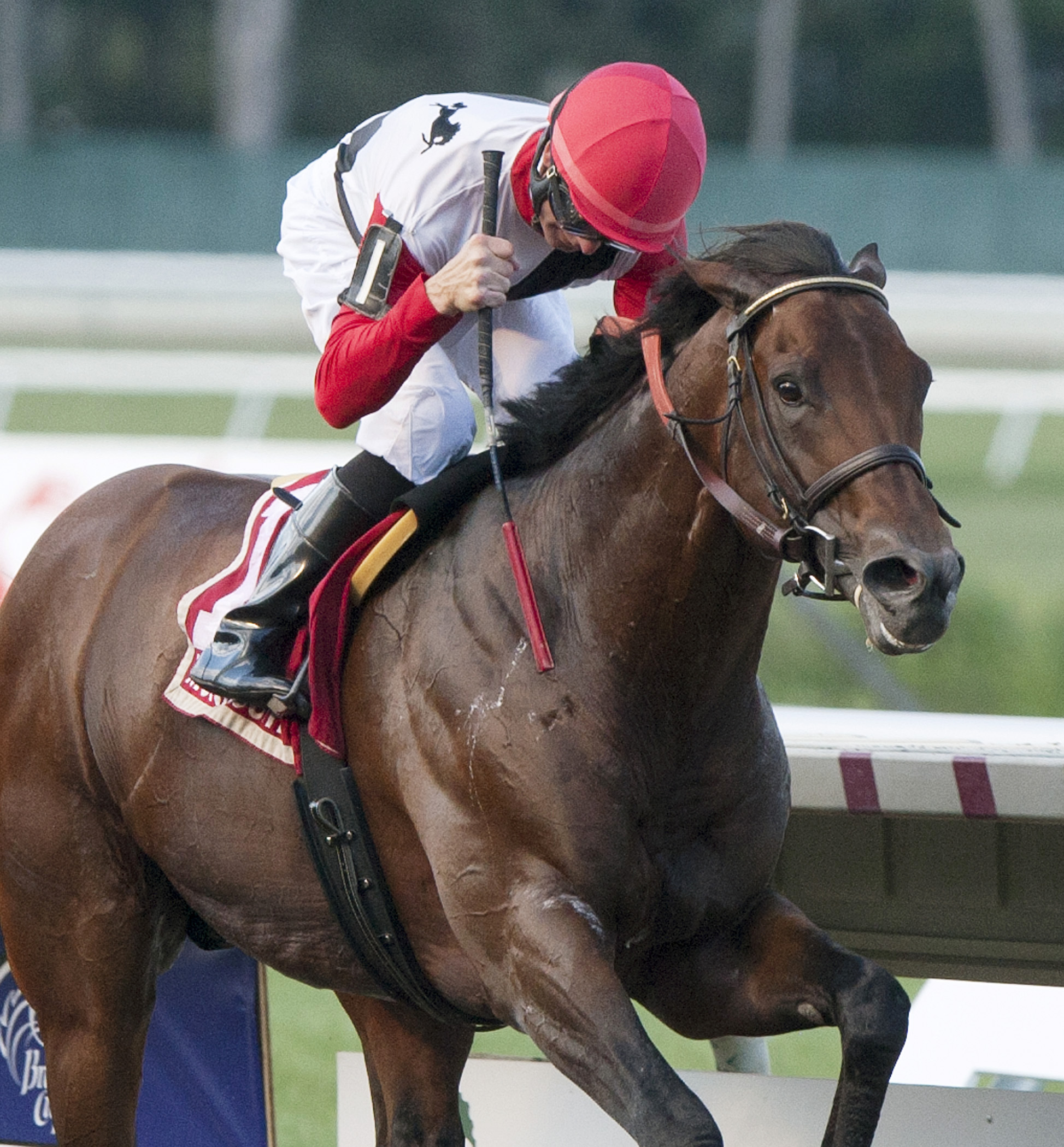 Bradester wins the 2015 Monmouth Cup