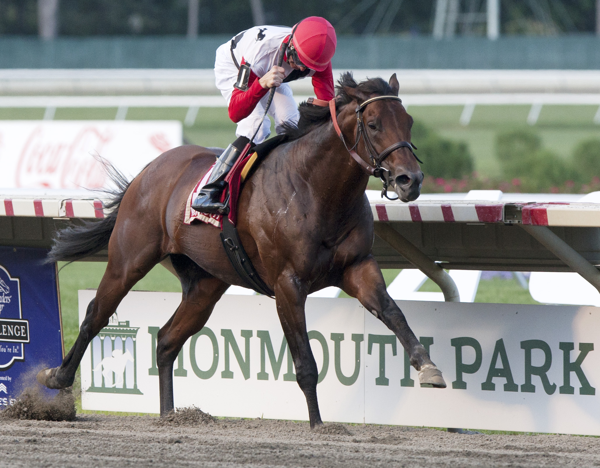 Bradester wins 2015 Monmouth Cup