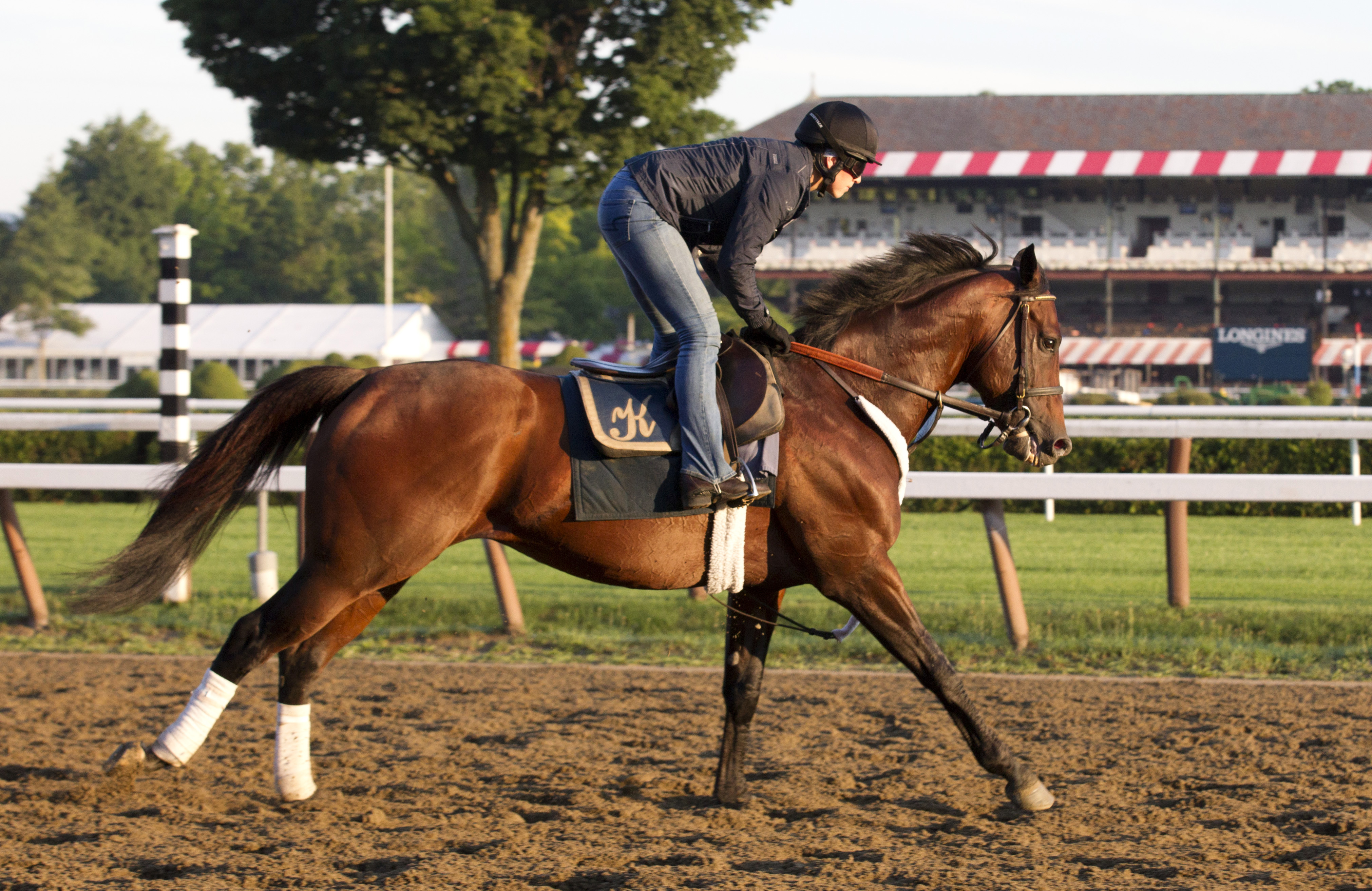 Bradester at Saratoga on July 21