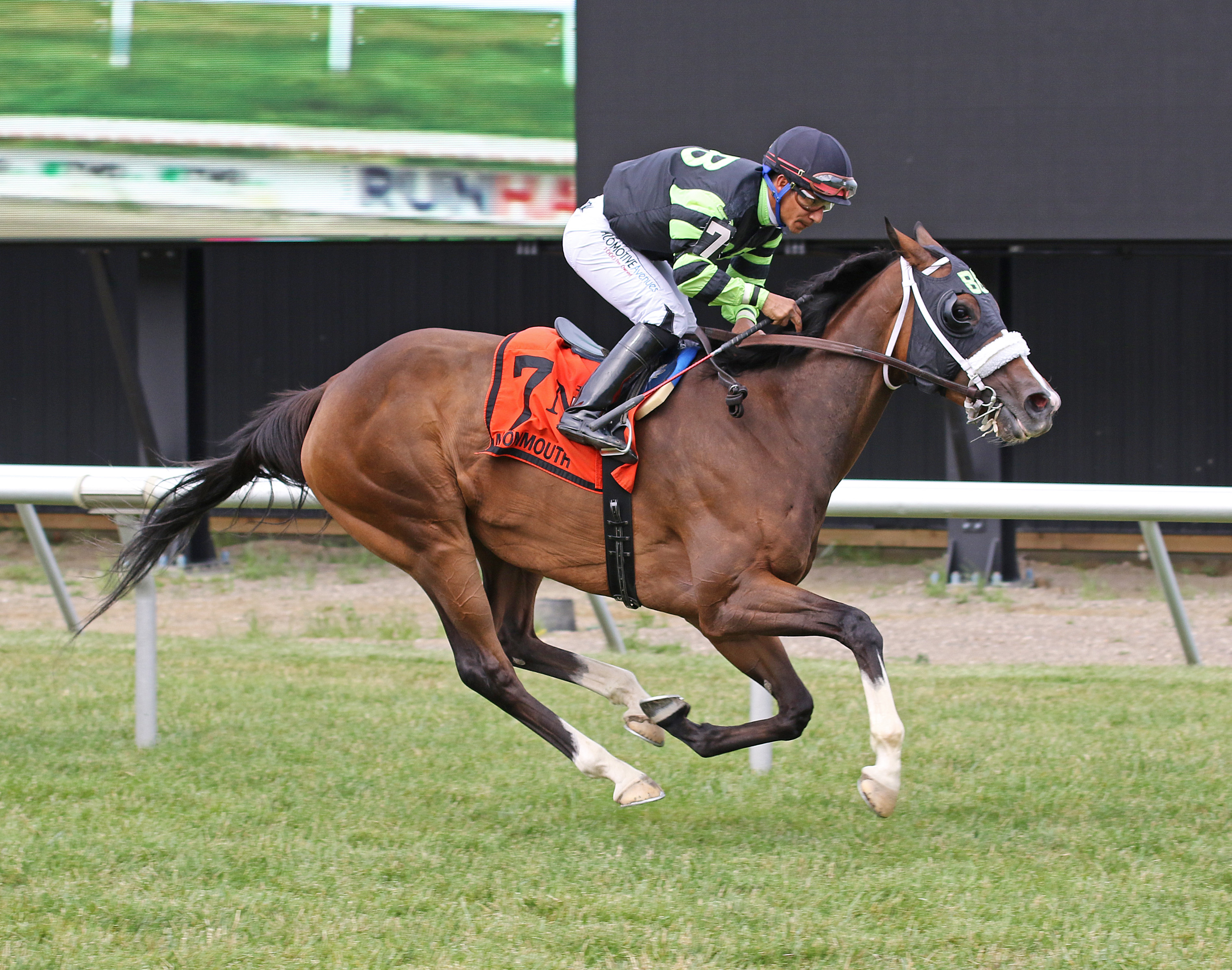 Bramble Bay wins the Jersey Girl Handicap at Monmouth on July 9 2022