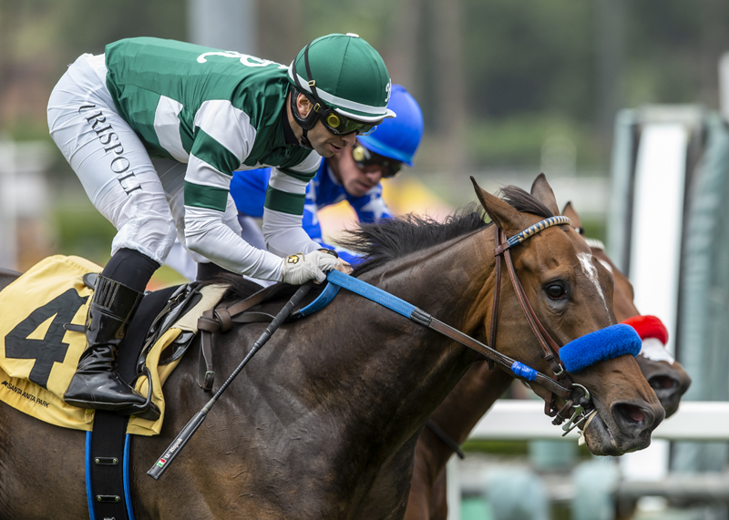 Bran wins Siren Lure Stakes 4-10-2022