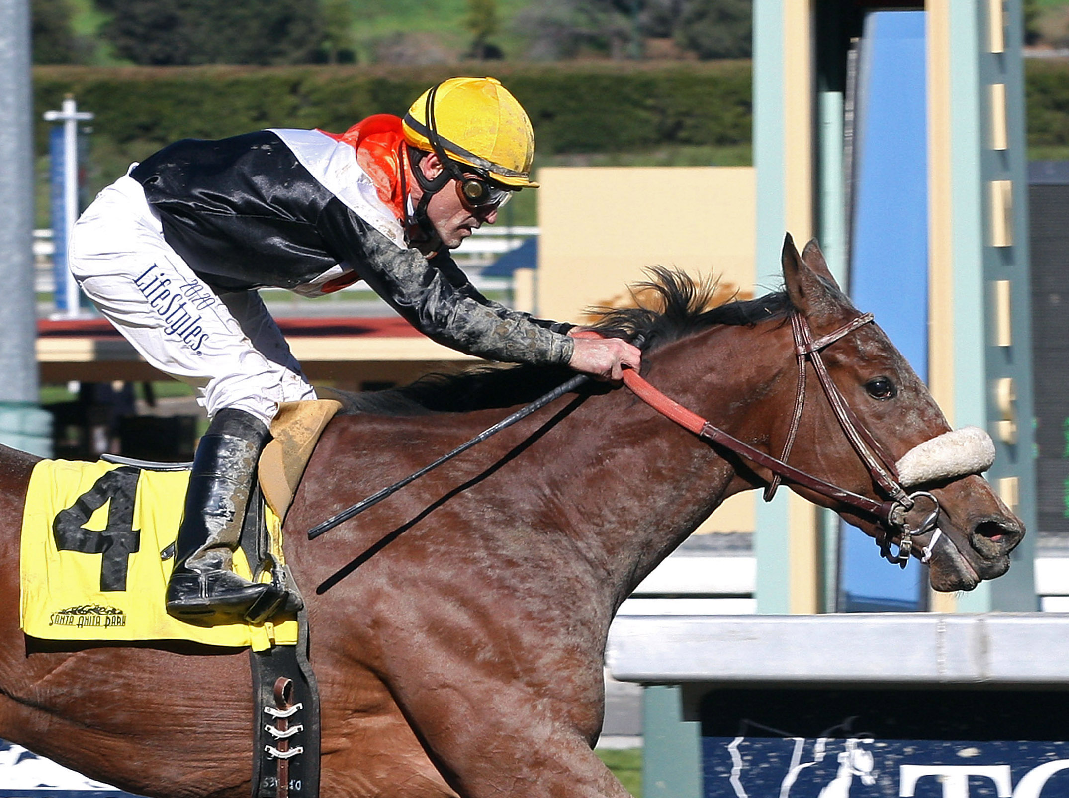 Branding, maiden win