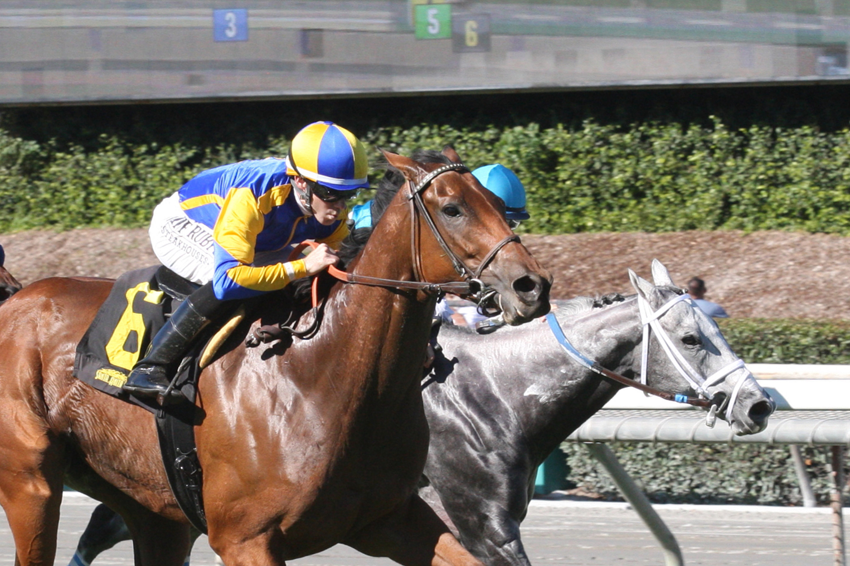 Brandothebartender wins 2018 California Flag Handicap (Shig)