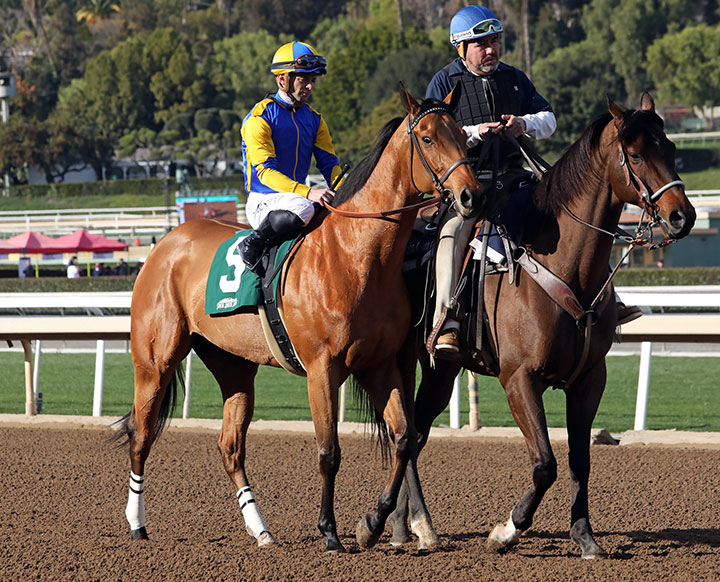 Brandothebartender at Santa Anita Park in January 2020