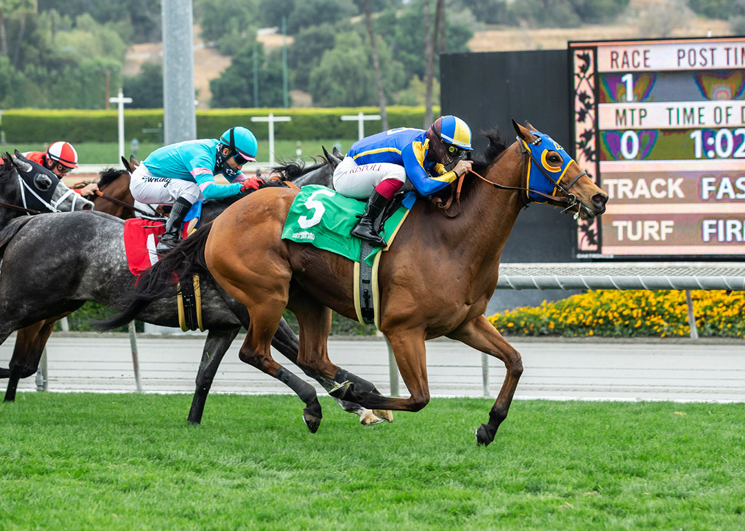 Brandothebartender wins the 2021 Crystal Water Stakes at Santa Anita