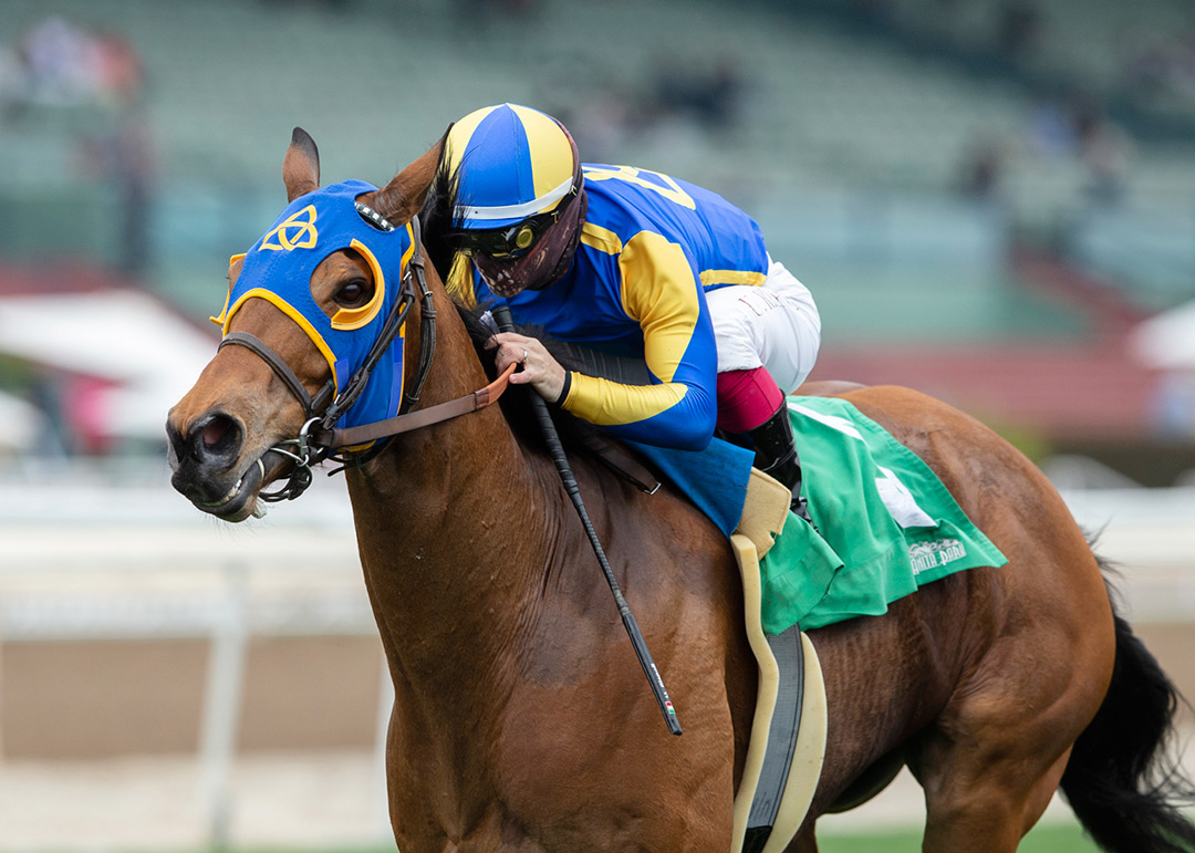 Brandothebartender wins the 2021 Crystal Water Stakes at Santa Anita