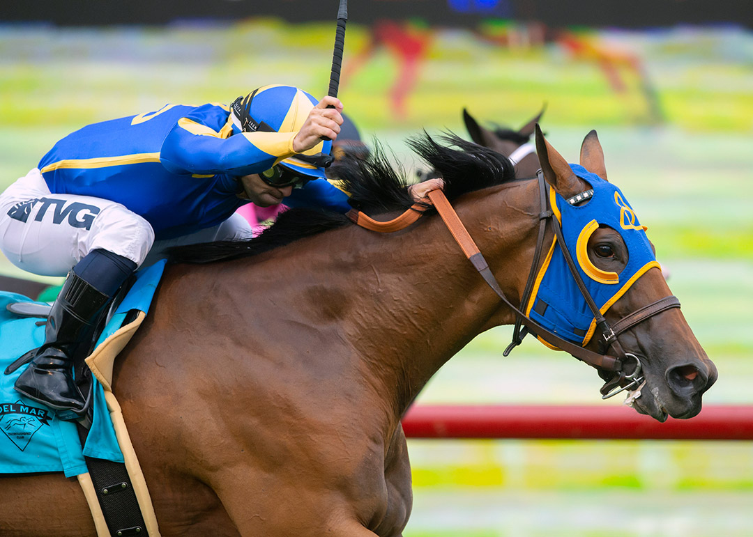 Brandothebartender wins the 2021 California Dreamin' Stakes at Del Mar