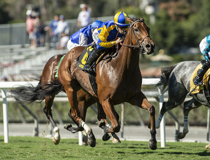 Brandothebartender wins the 2018 California Flag Stakes