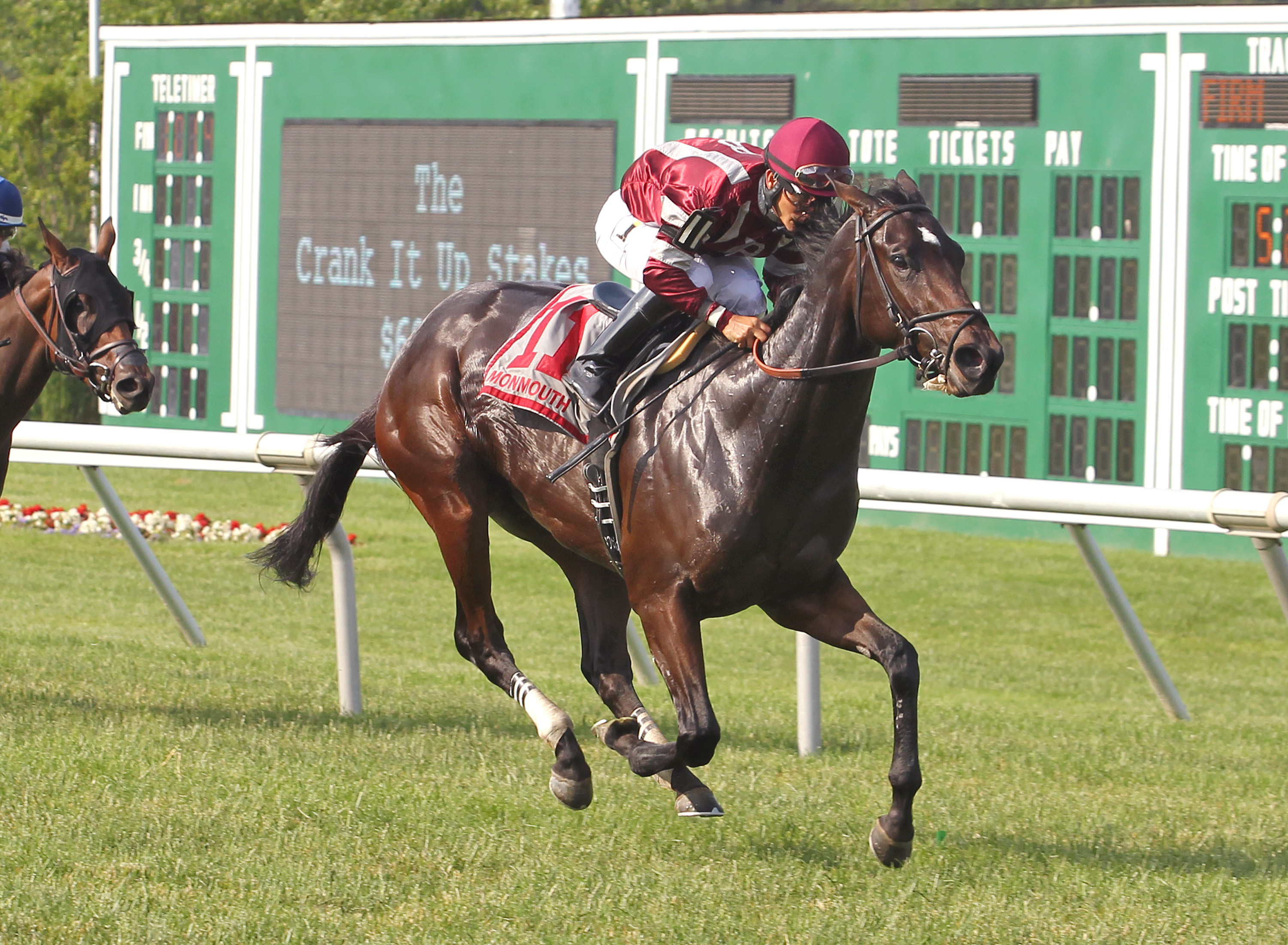 Brandy's Girl wins the 2016 Crank It Up Stakes