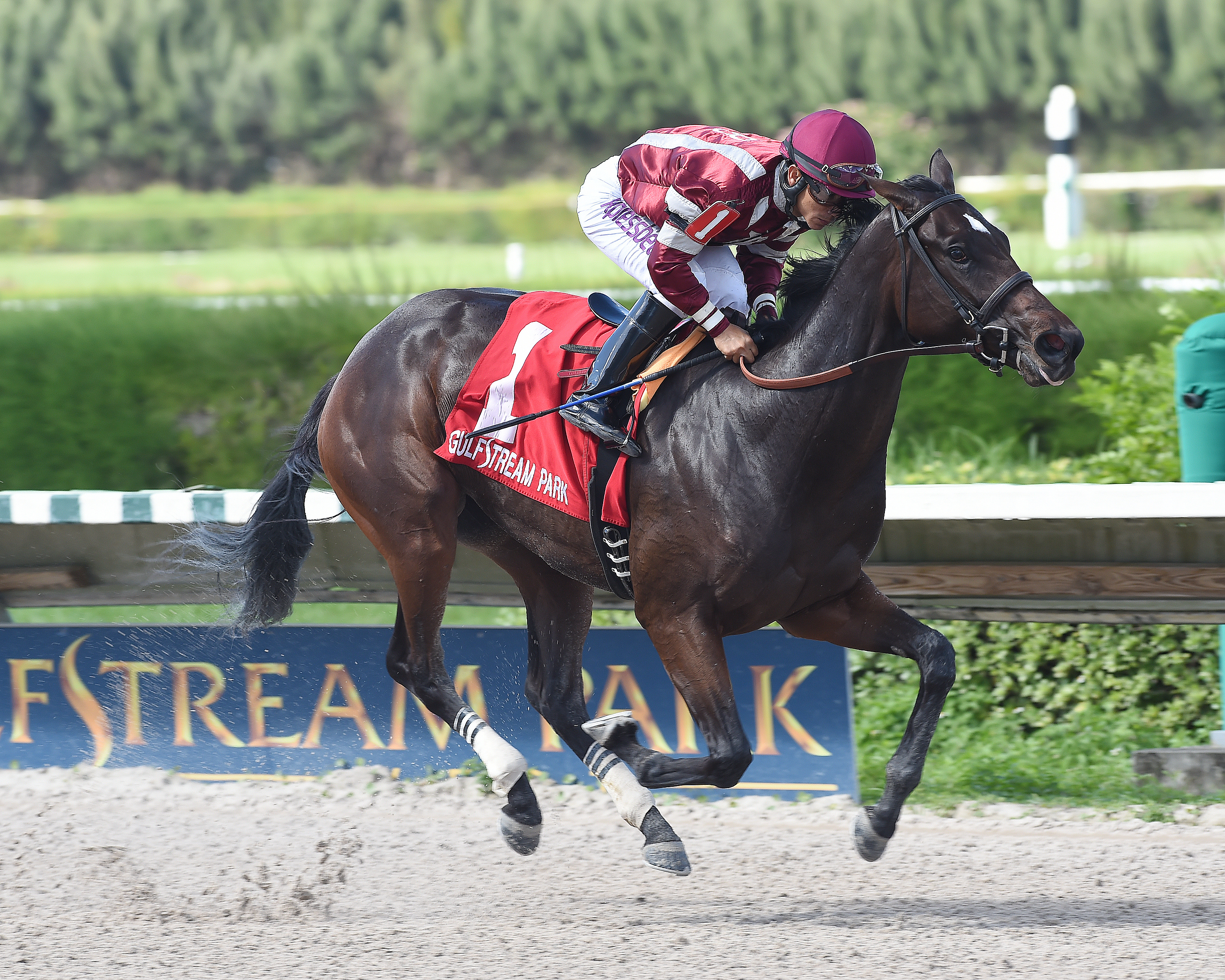 Brandy's Girl wins the 2015 Juvenile Fillies Sprint Stakes