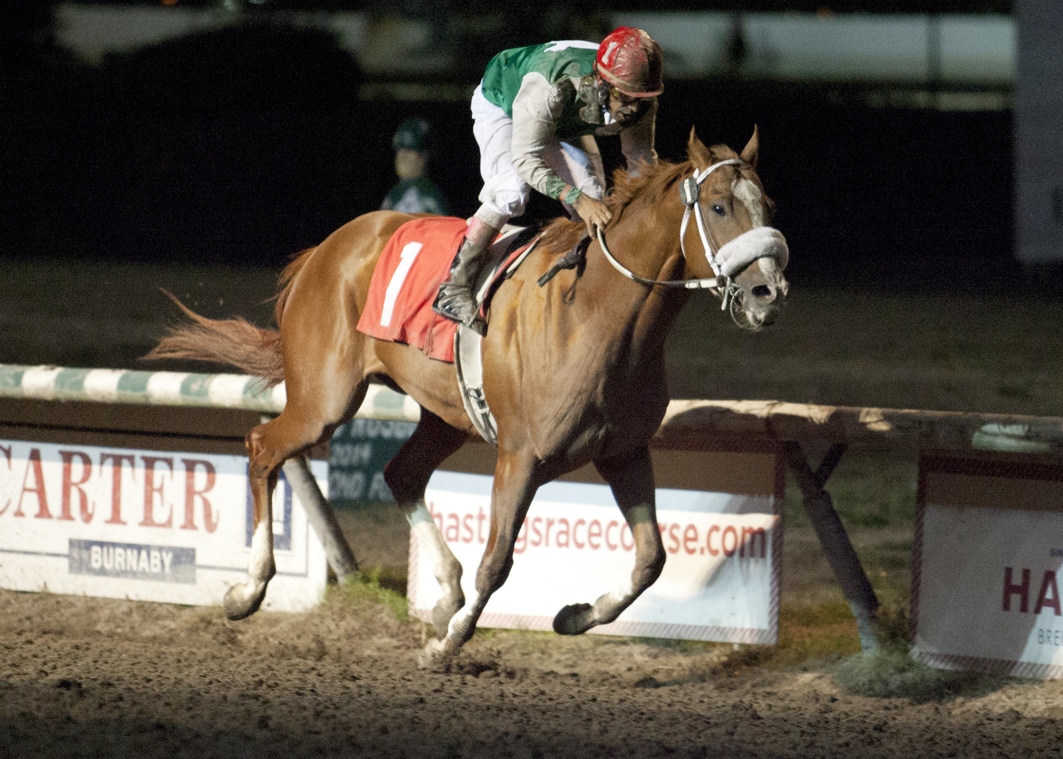 Brass and Gold wins the 2015 Classic at Hastings