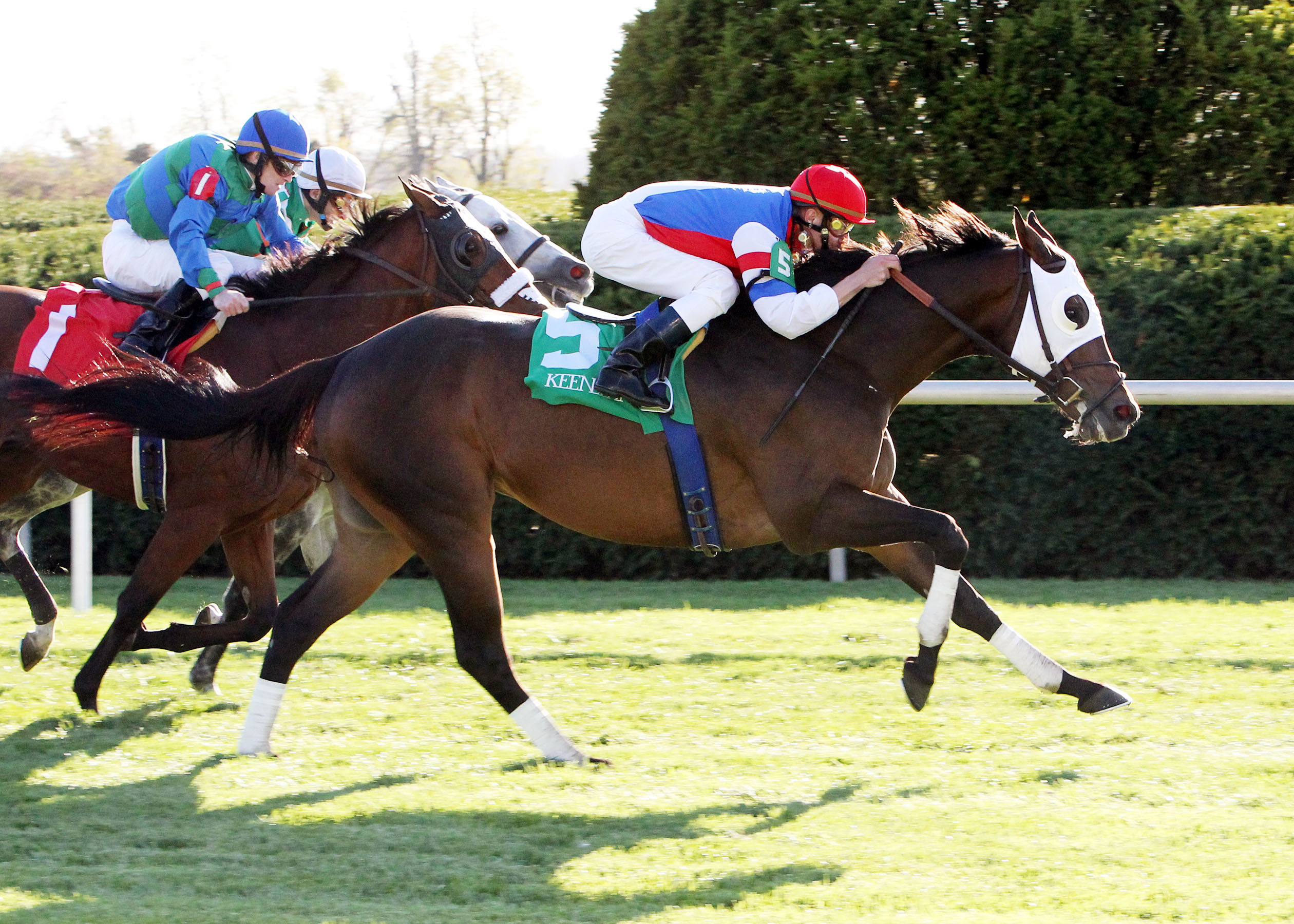 Brass Hat wins Sycamore