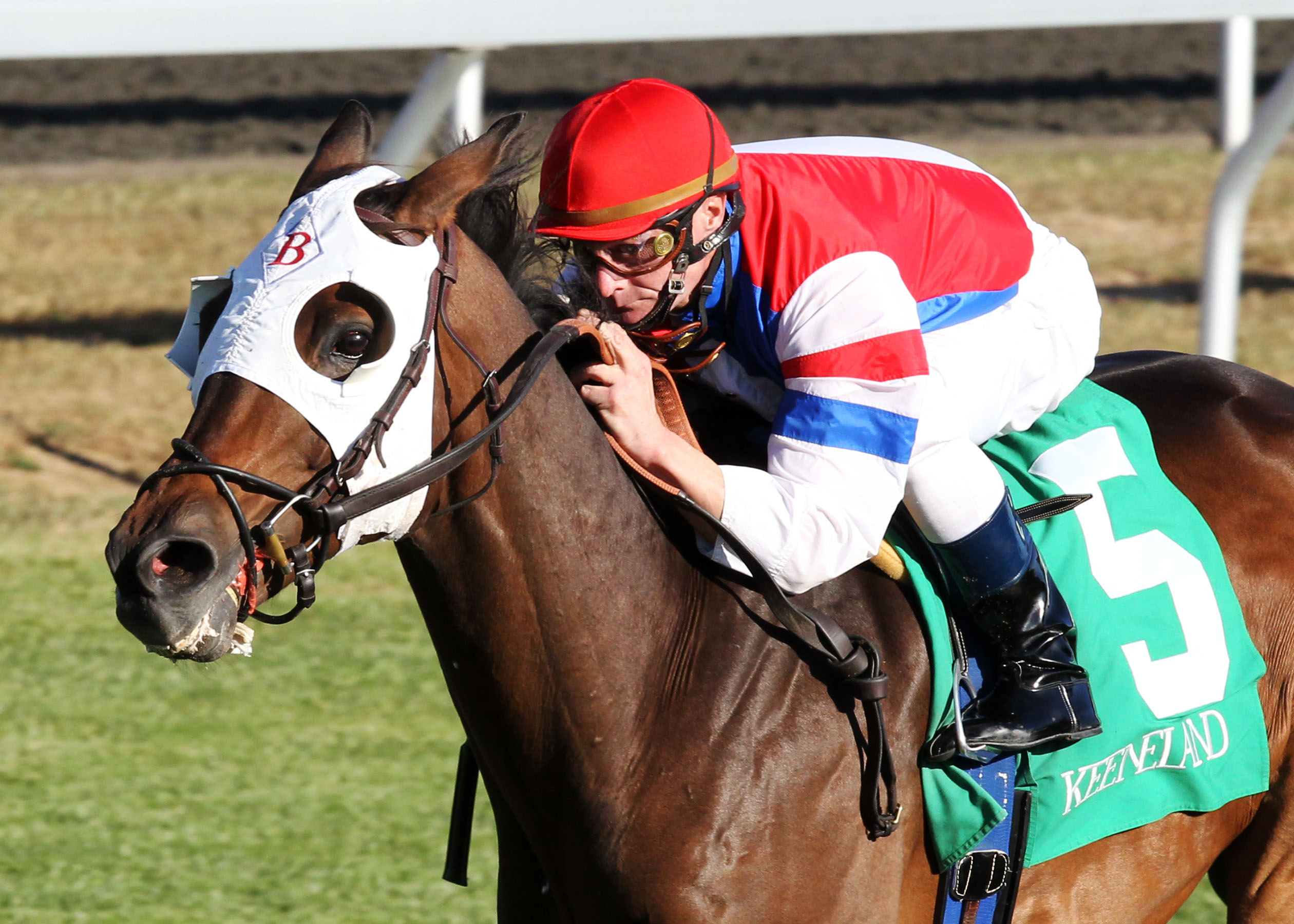Brass Hat wins the 2010 Grade 3 Sycamore