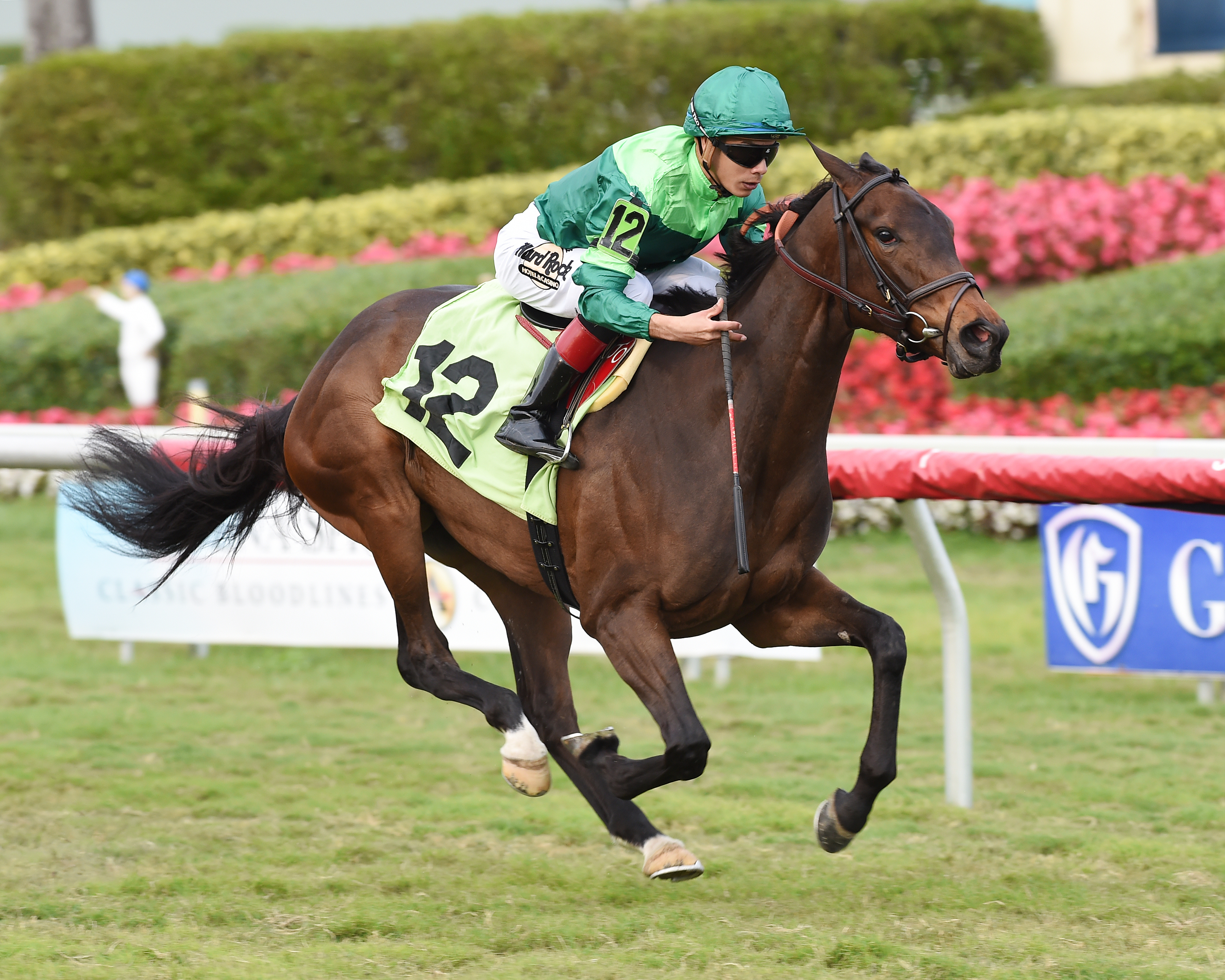 Brattata wins a Feb. 4 maiden race at Gulfstream